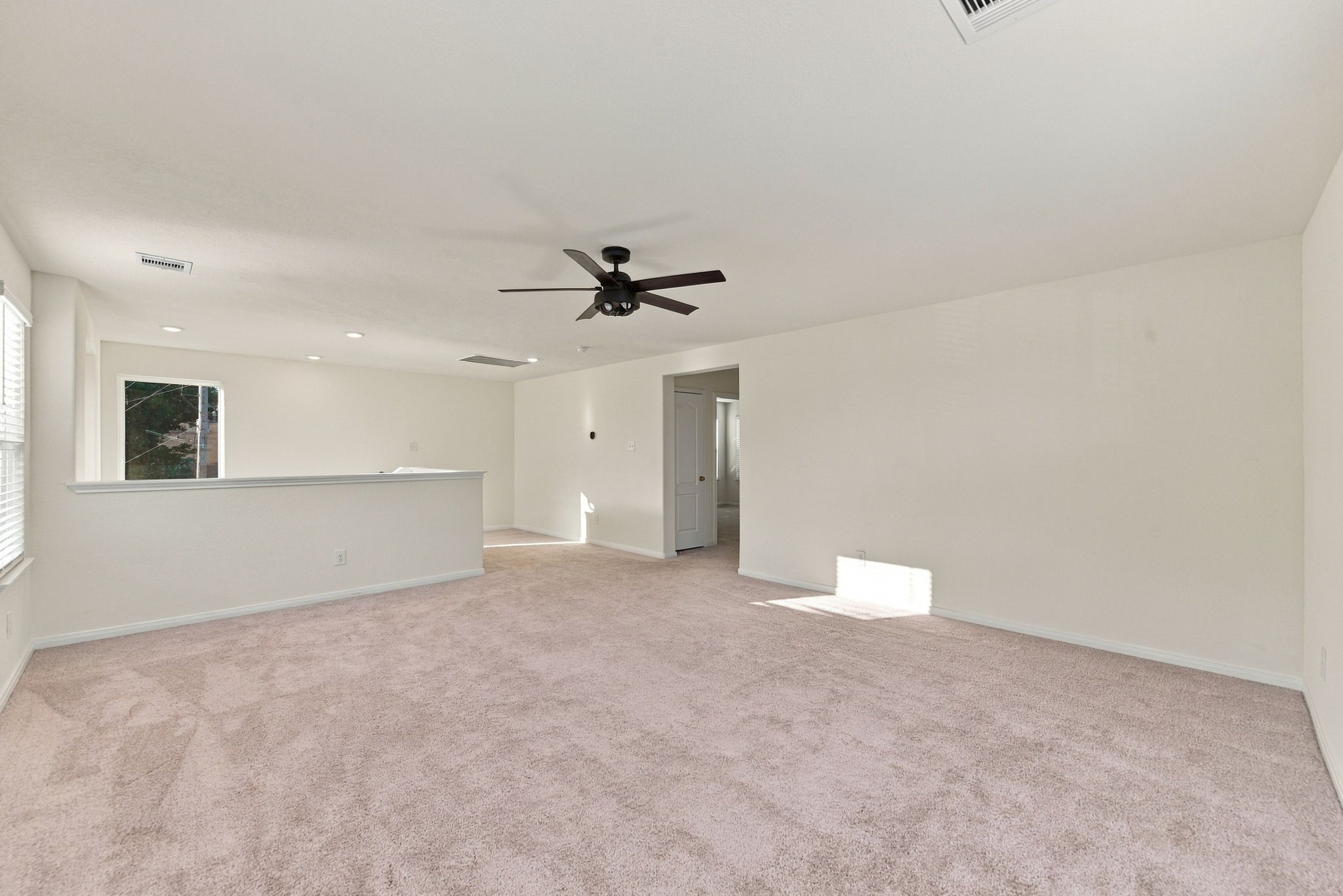 4214 Shady Palmetto Drive Property Photo 17