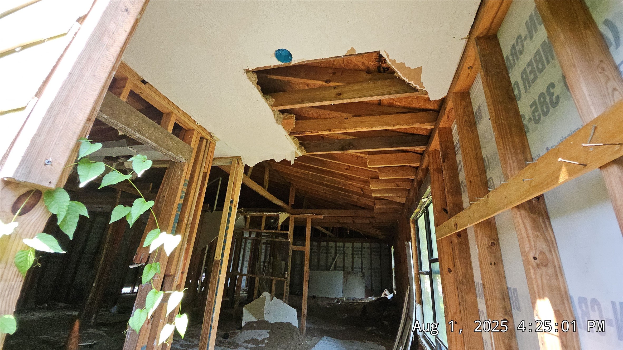 17505 S Lakeview Drive Property Photo 10
