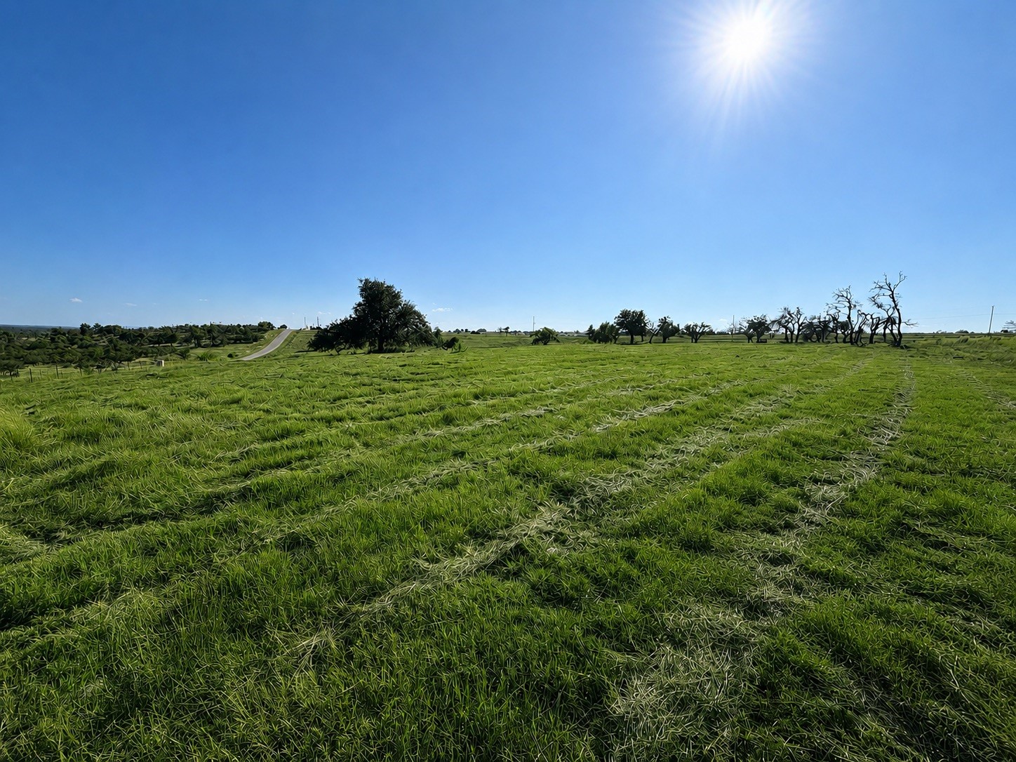 Lt 3 Badger Ridge Road Property Photo 3