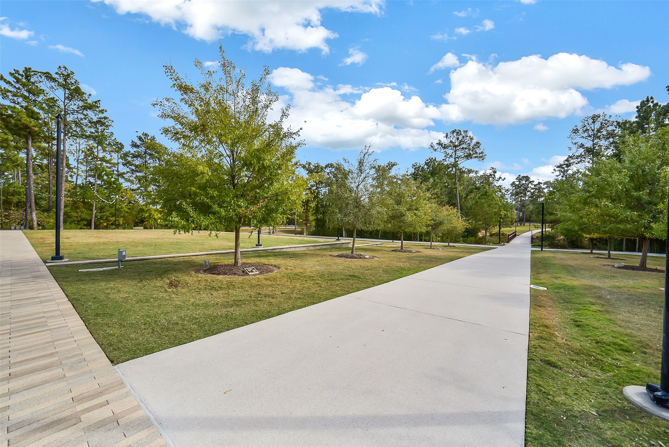 107 Rosewood Forest Court Property Photo 45