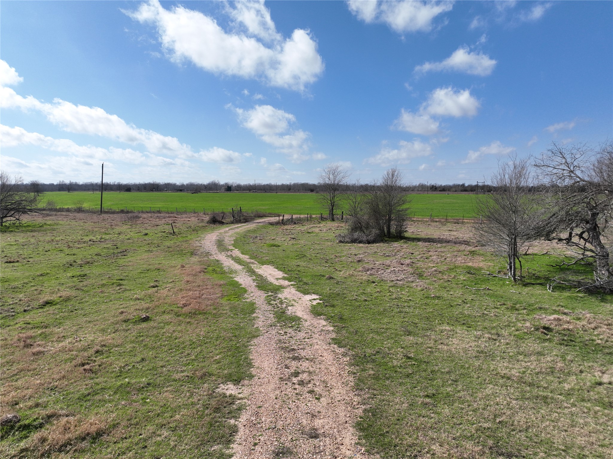 00 Fm 331 Property Photo 18