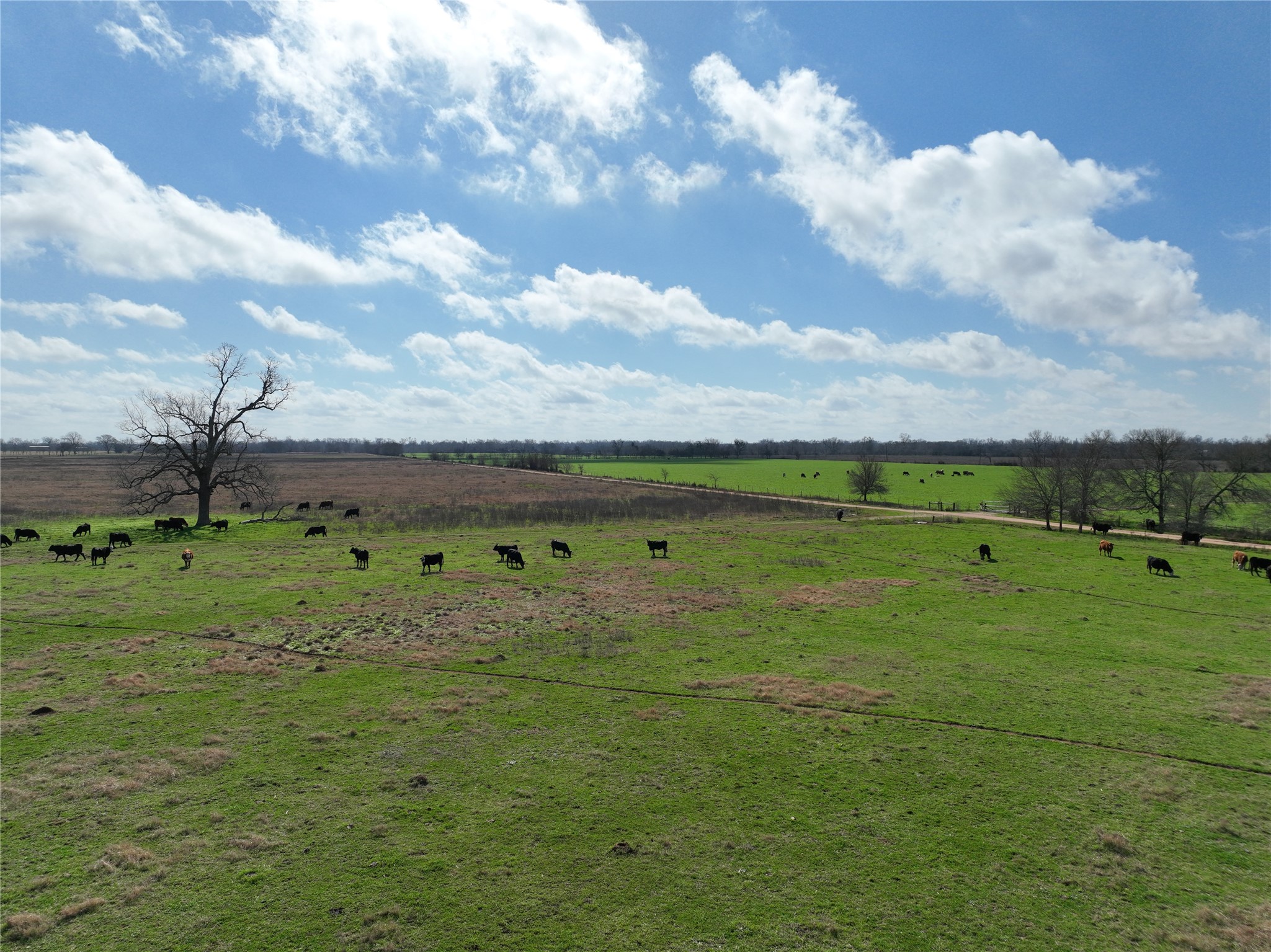 00 Fm 331 Property Photo 27