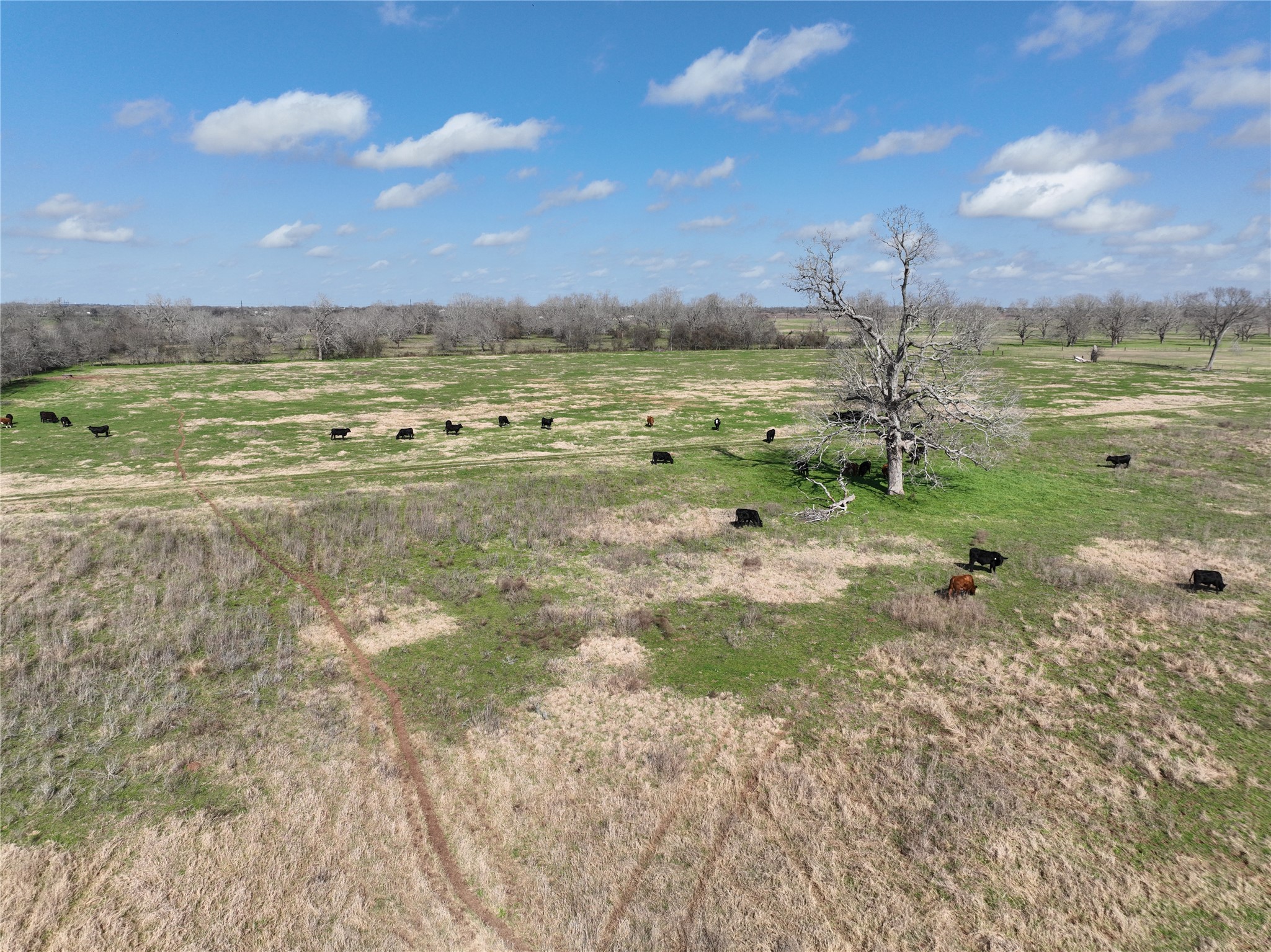 00 Fm 331 Property Photo 28