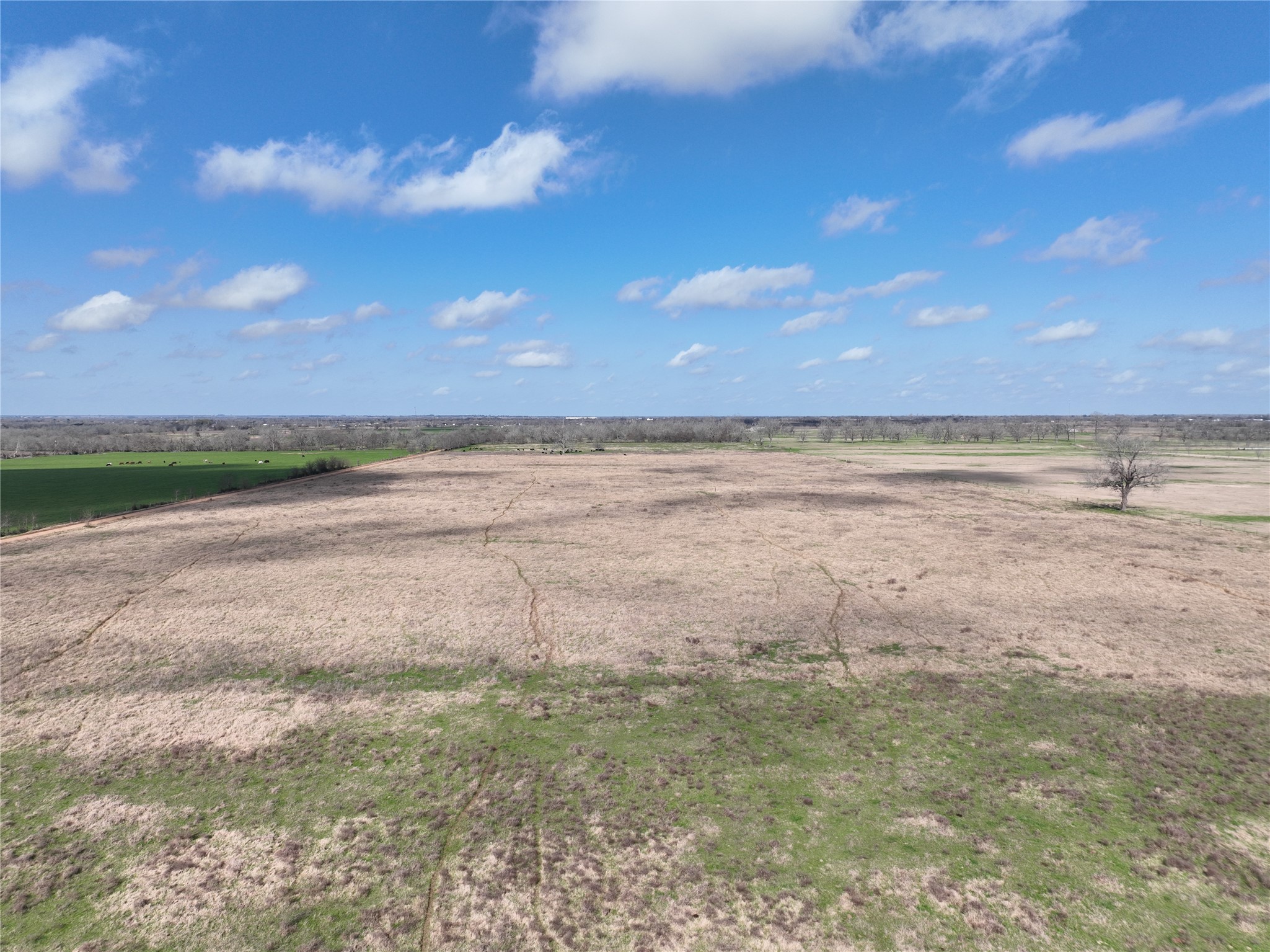 00 Fm 331 Property Photo 31