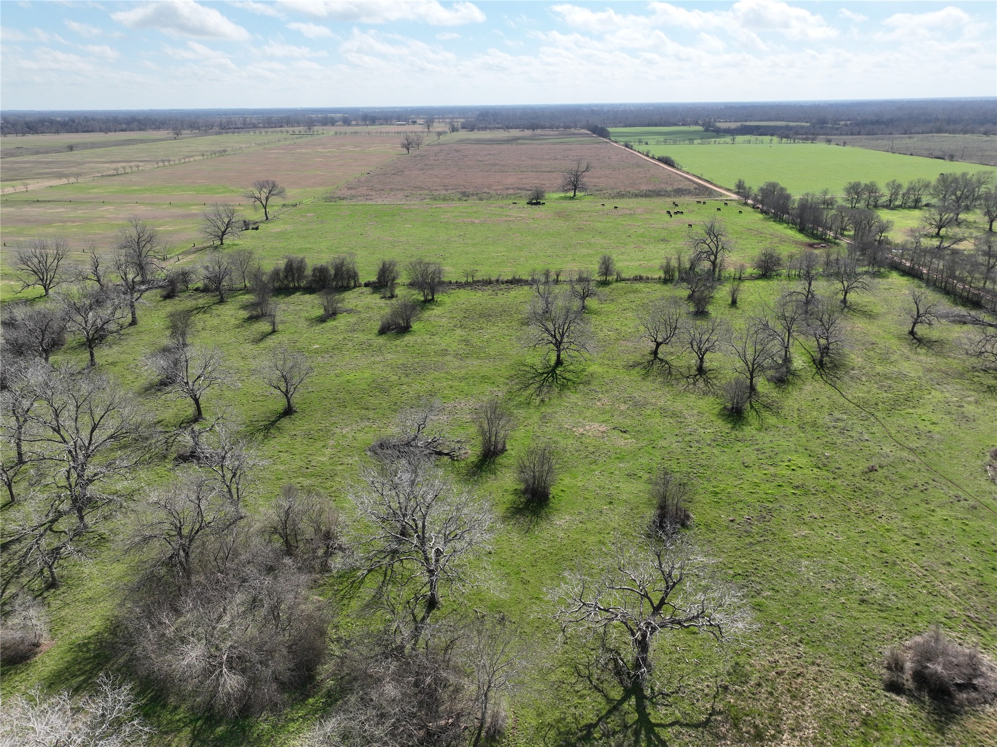 00 Fm 331 Property Photo 36
