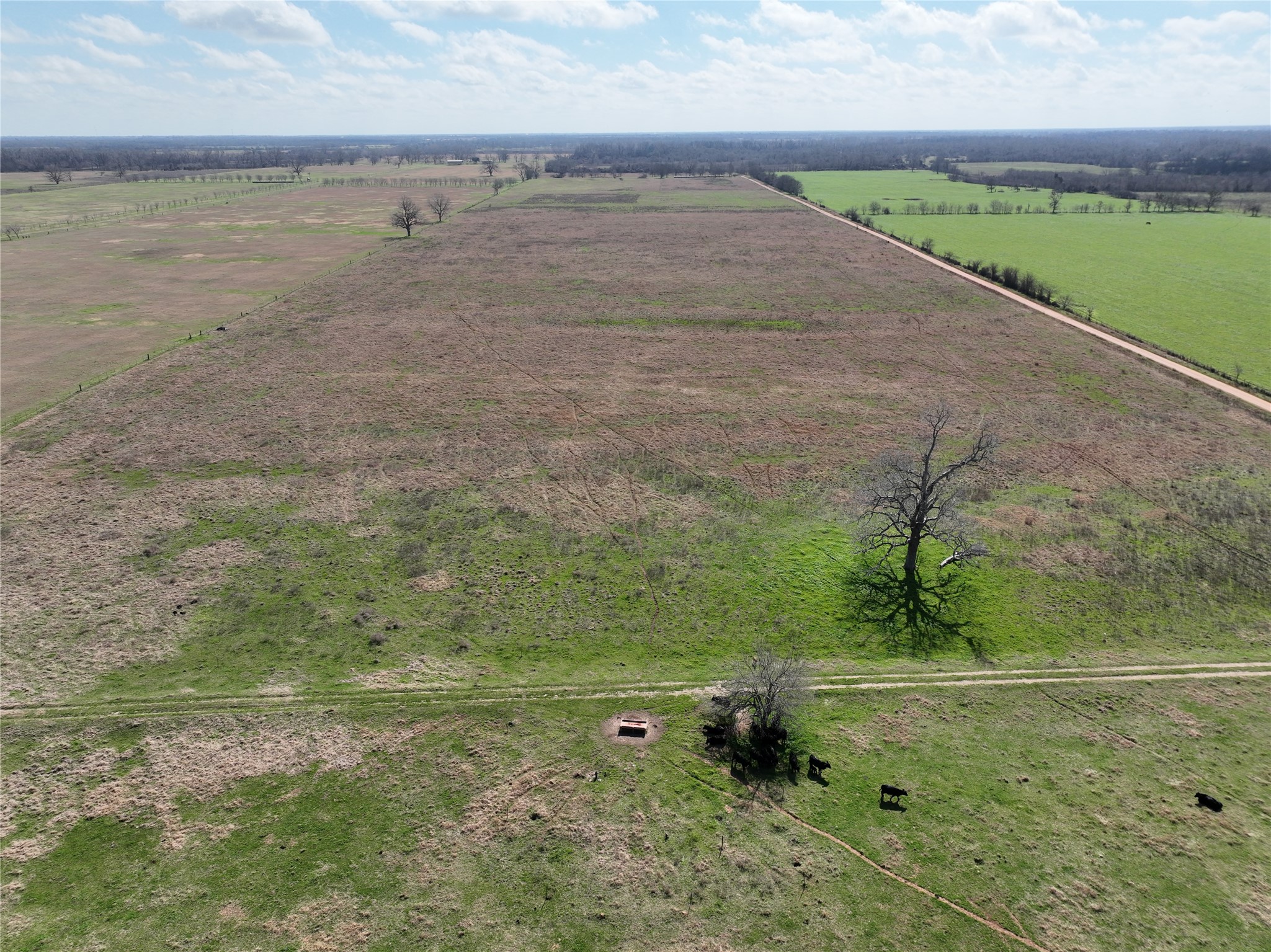 00 Fm 331 Property Photo 39