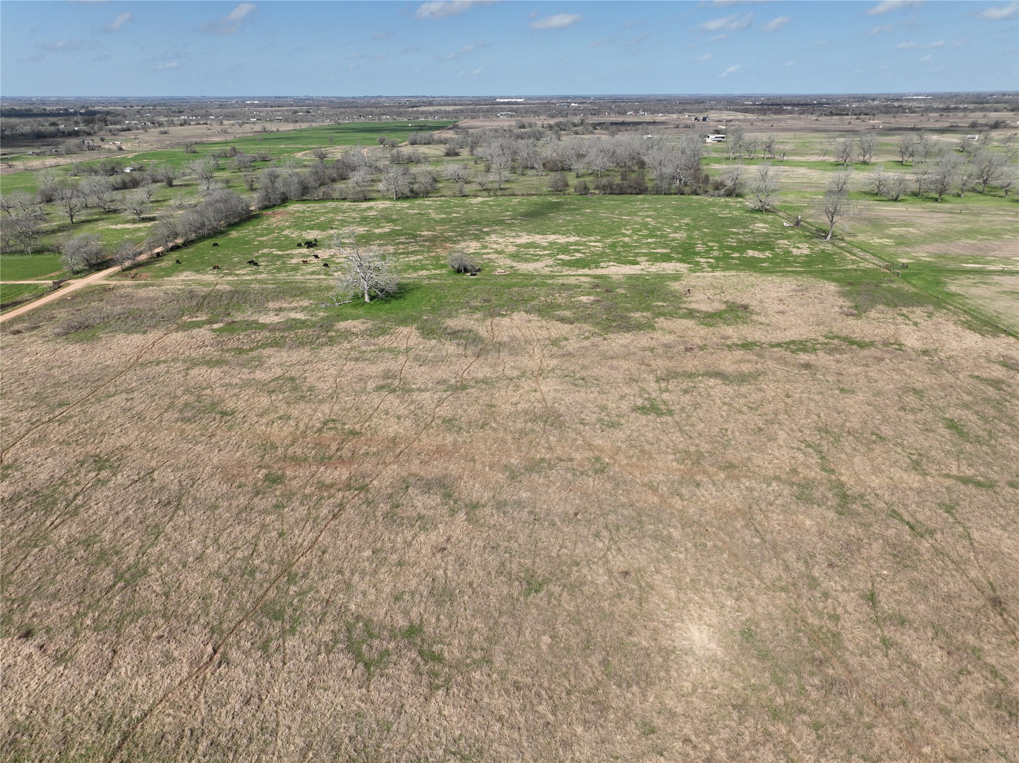 00 Fm 331 Property Photo 41
