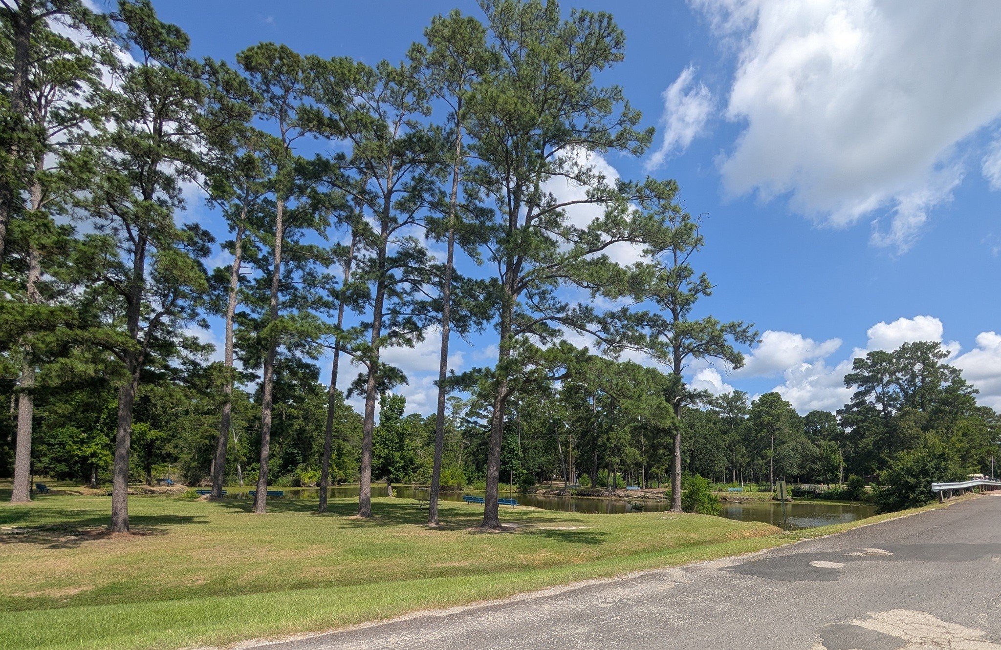 1274 Cardinal Lane Property Photo 15
