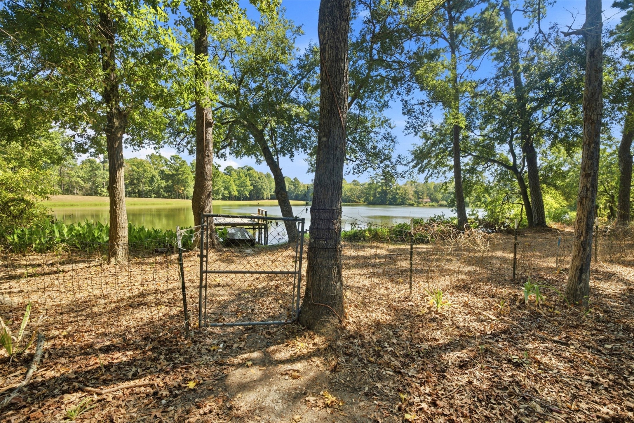 15436 Zachary Taylor Road Property Photo 10