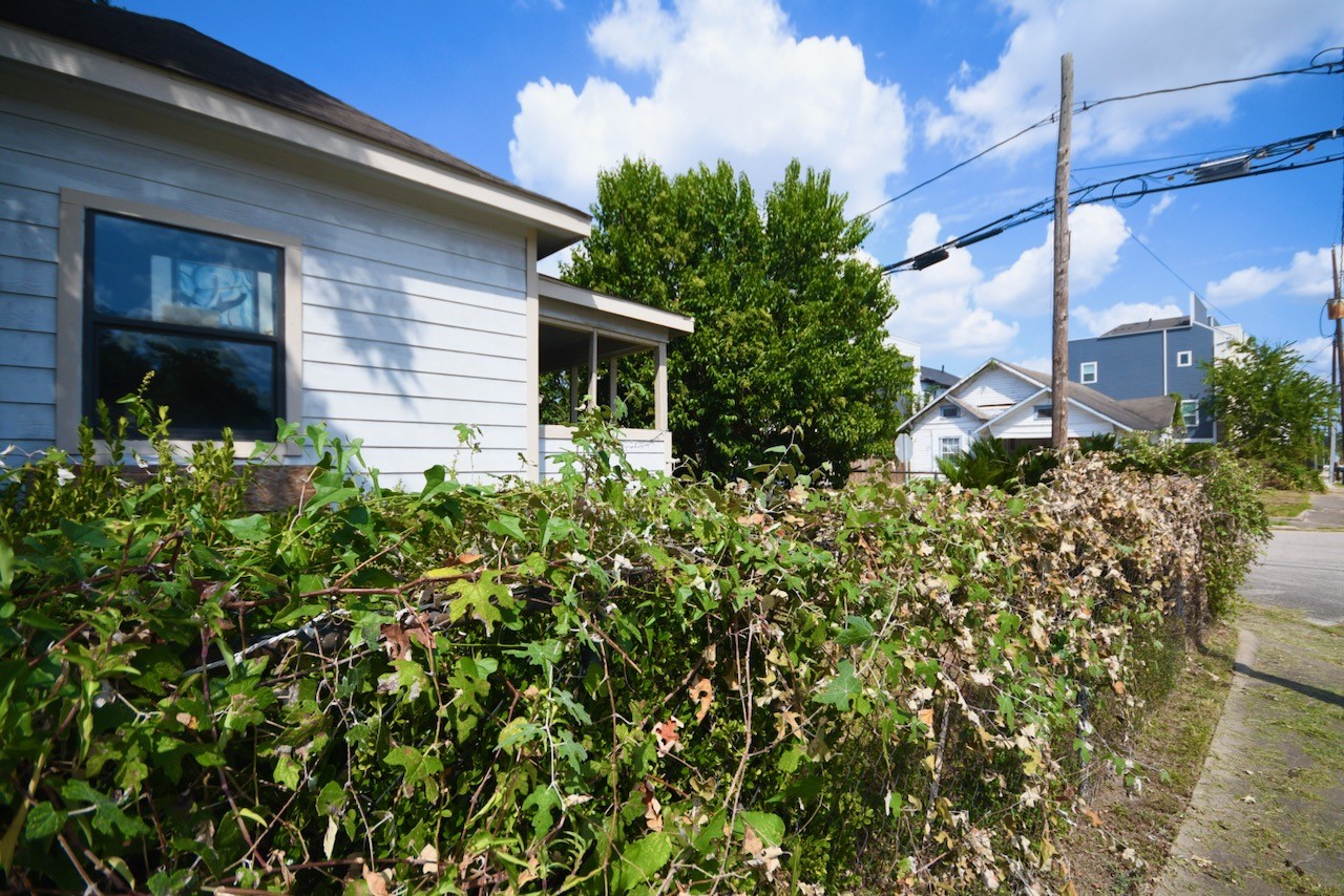 3036 Dennis Street Property Photo 4
