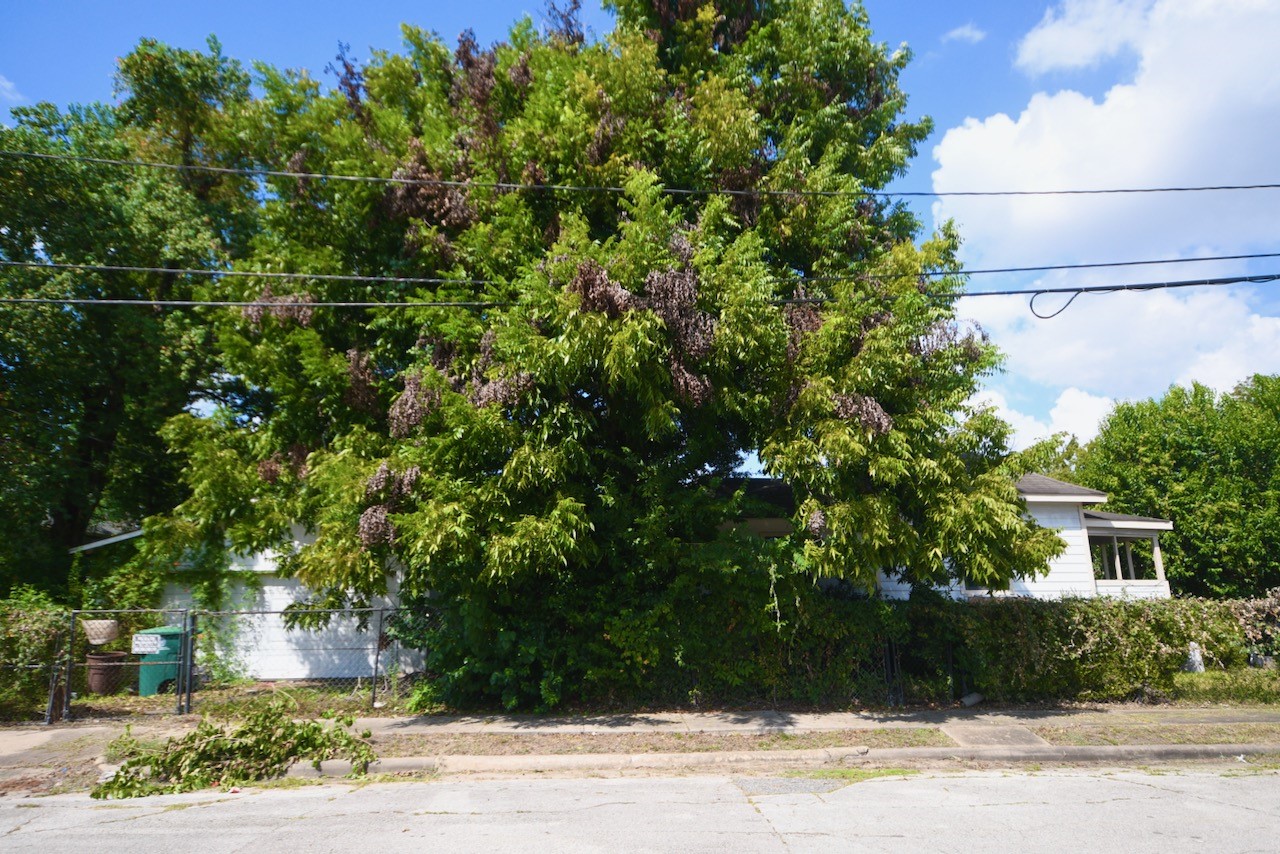 3036 Dennis Street Property Photo 5