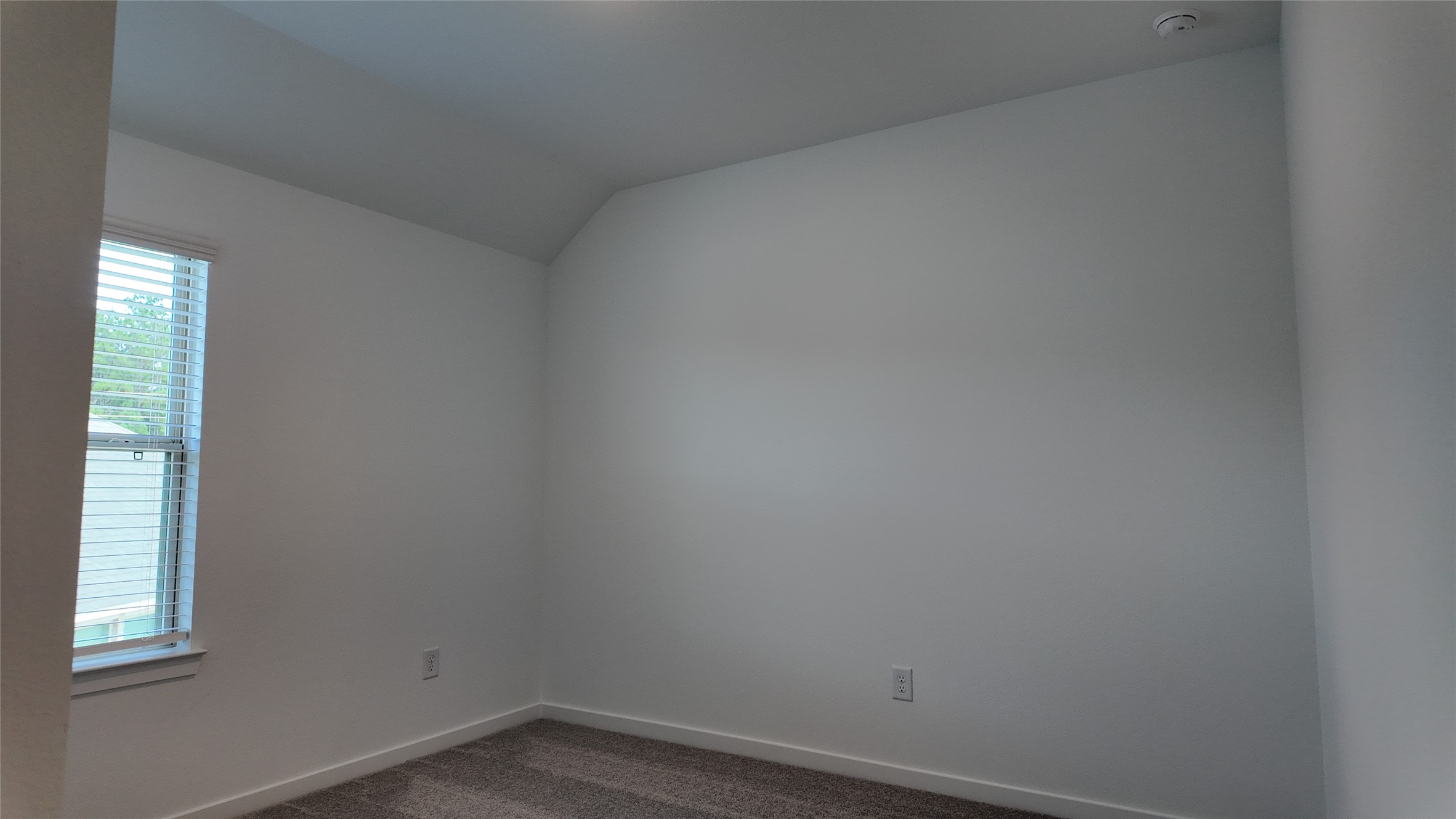 15190 Wild Gully Way Property Photo 17
