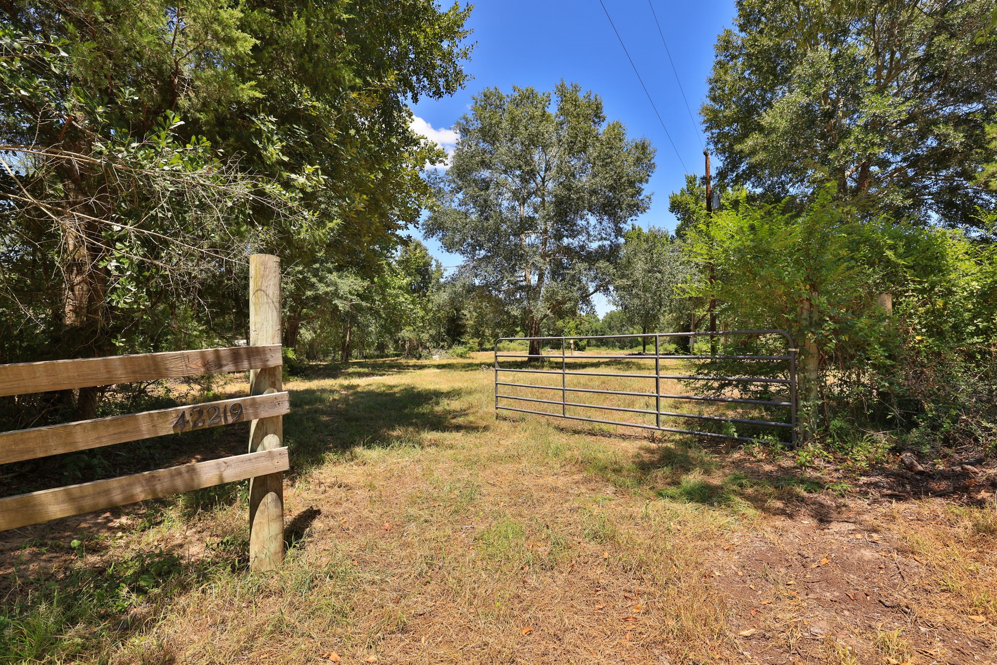 42219 Cedar Creek Road Property Photo 1