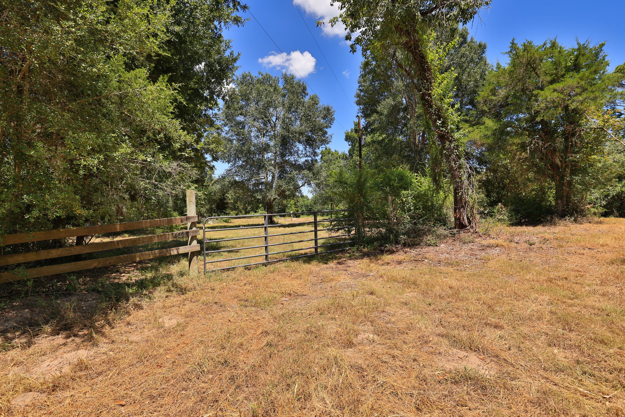 42219 Cedar Creek Road Property Photo 3