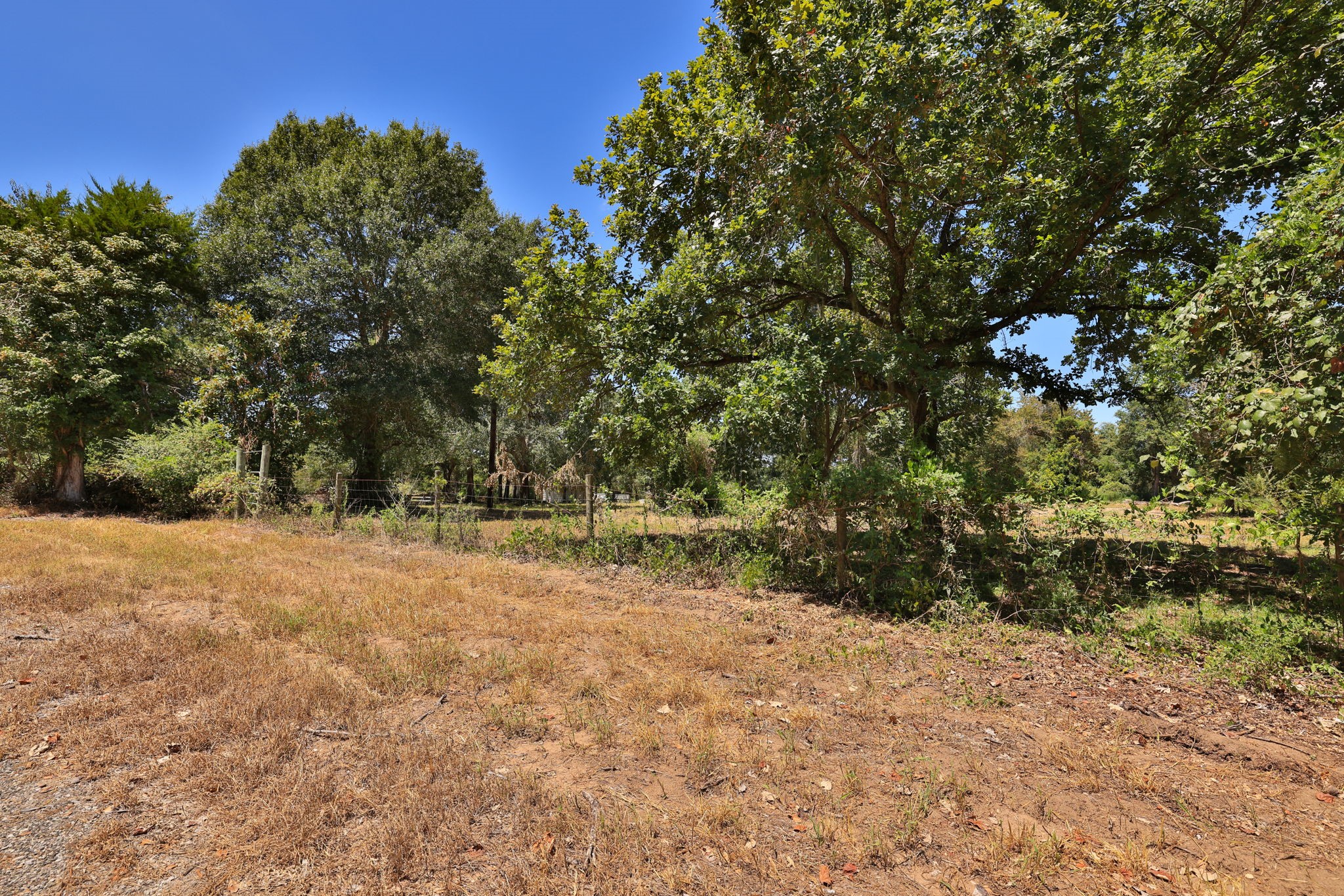 42219 Cedar Creek Road Property Photo 4