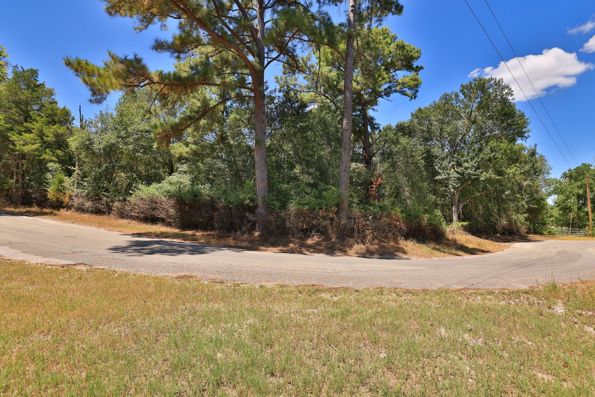 42219 Cedar Creek Road Property Photo 5