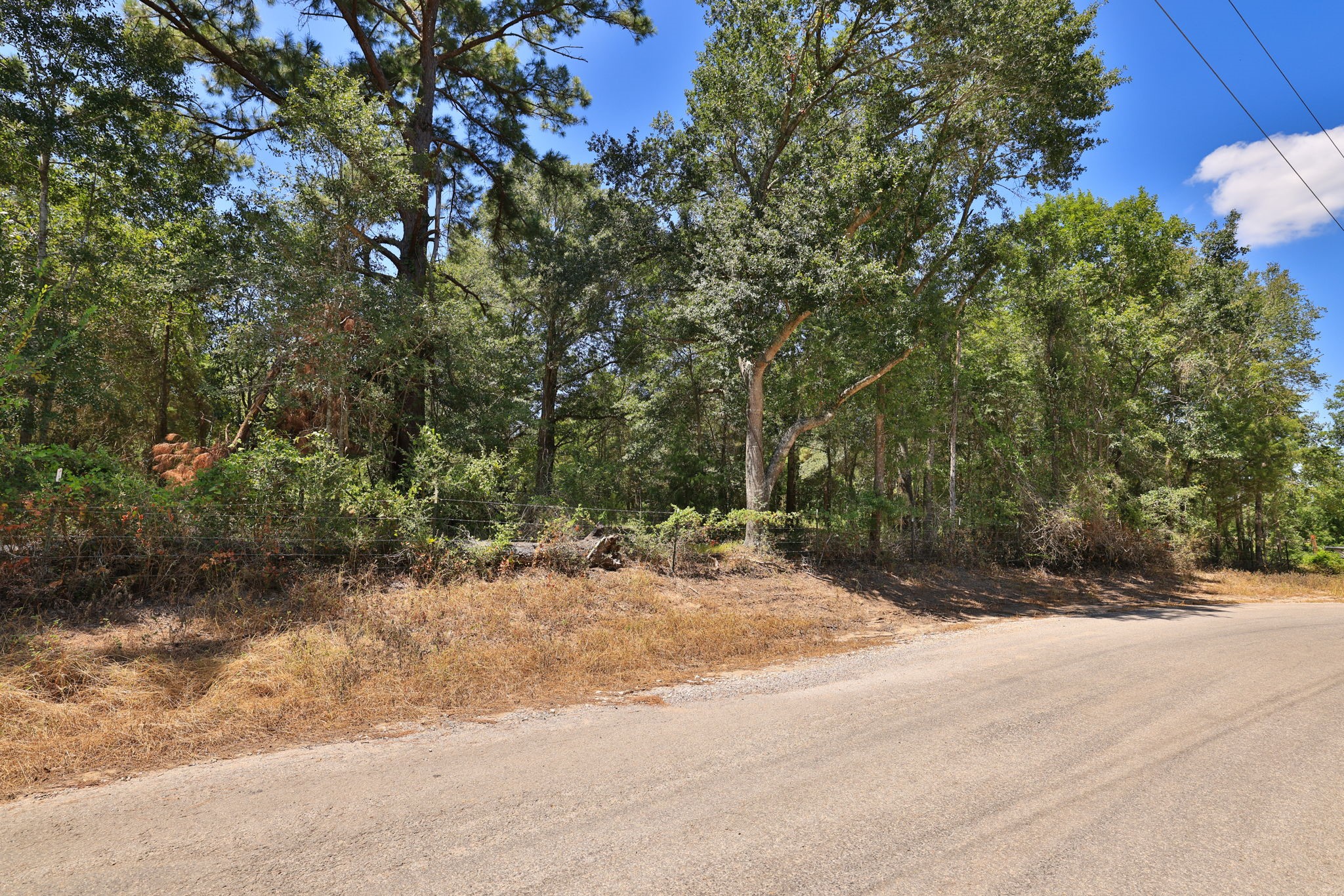 42219 Cedar Creek Road Property Photo 6