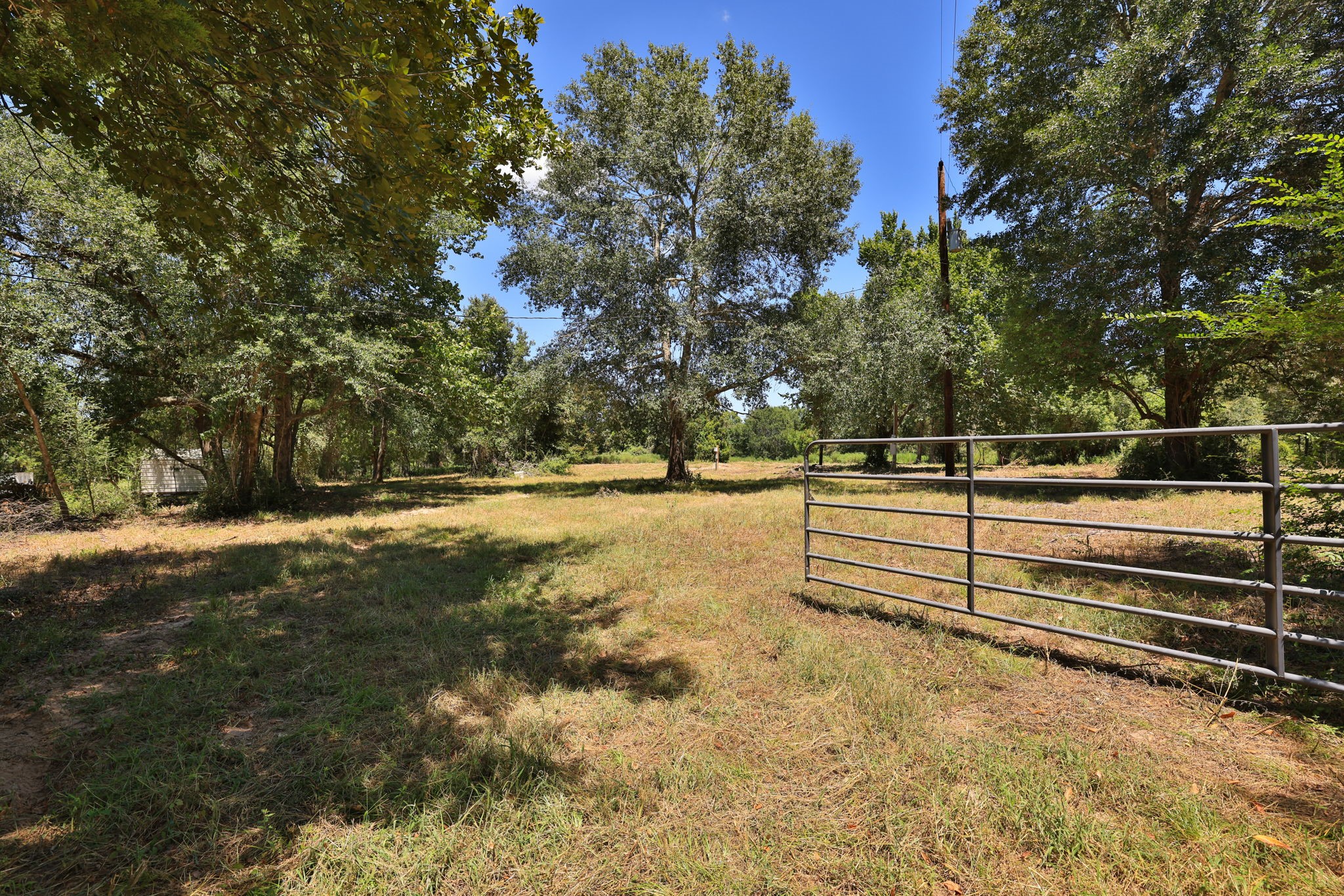 42219 Cedar Creek Road Property Photo 7
