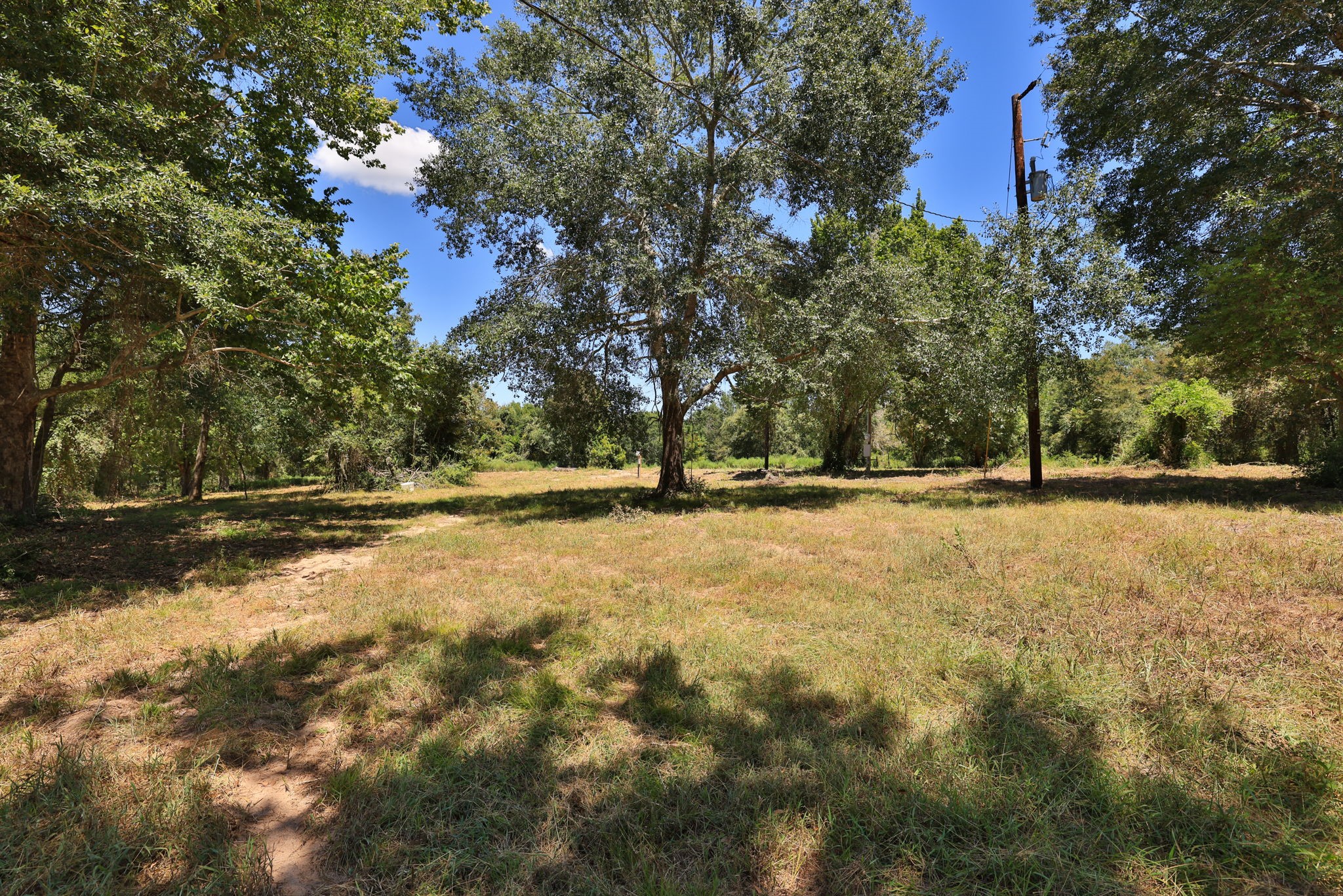 42219 Cedar Creek Road Property Photo 8