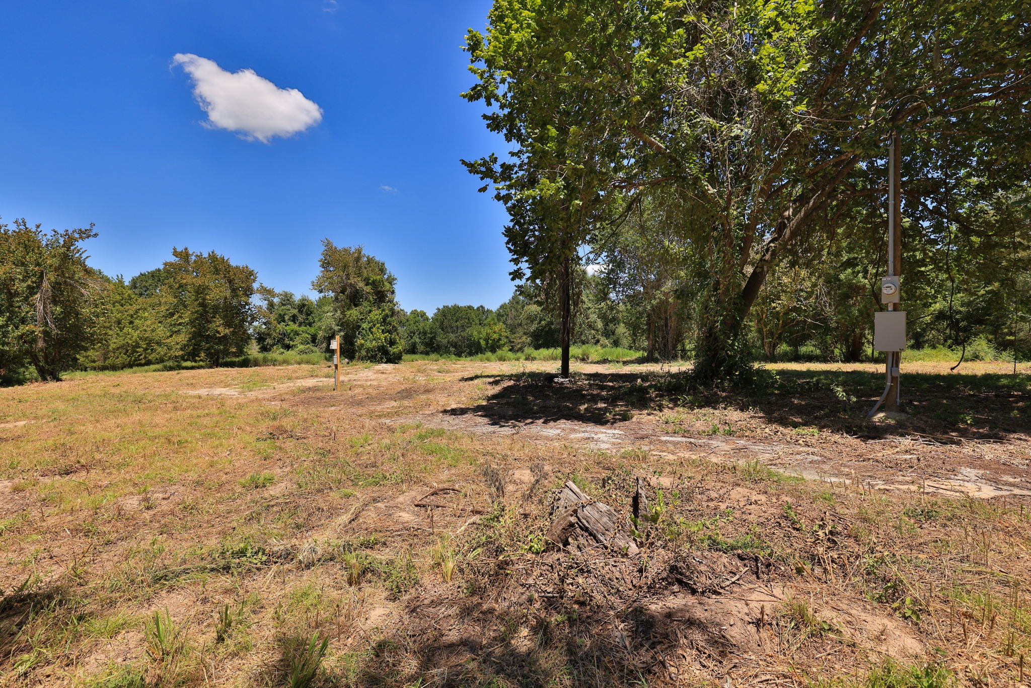 42219 Cedar Creek Road Property Photo 9