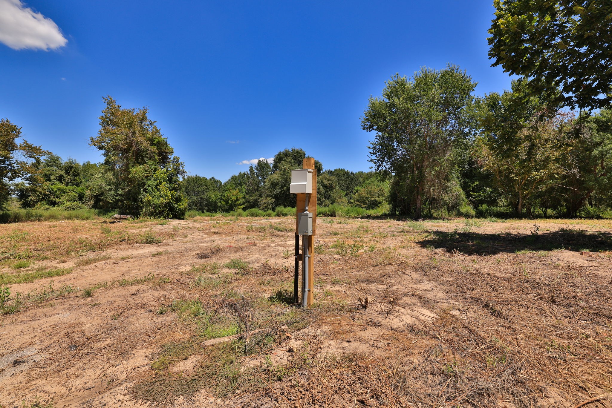 42219 Cedar Creek Road Property Photo 10