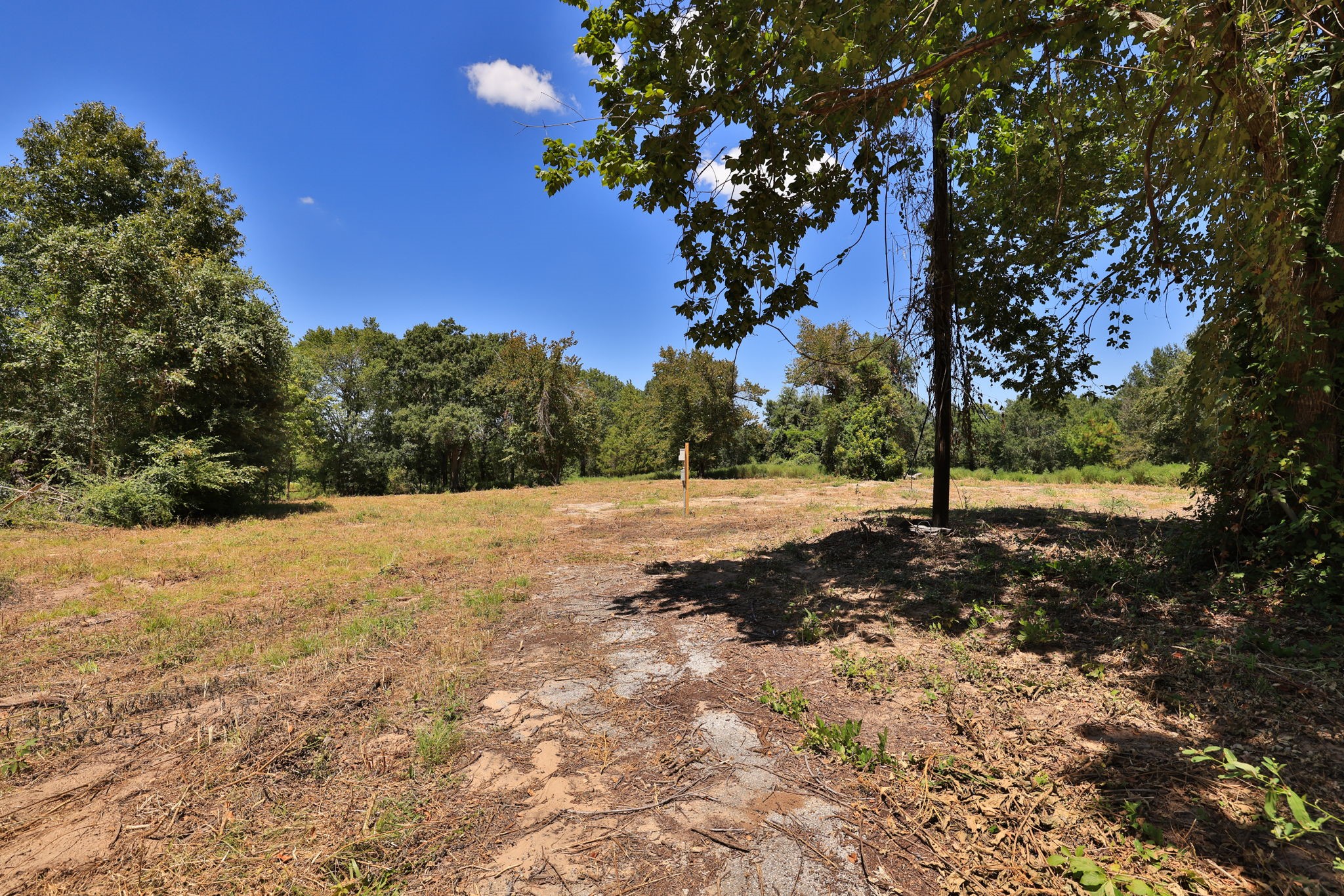 42219 Cedar Creek Road Property Photo 11