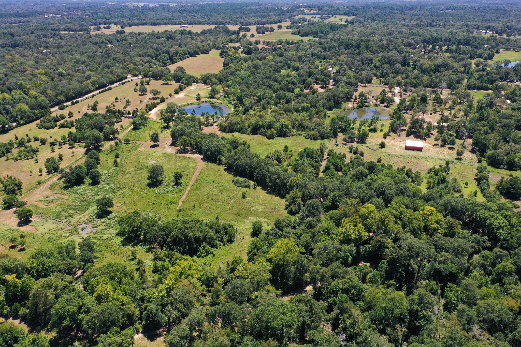 42219 Cedar Creek Road Property Photo 16
