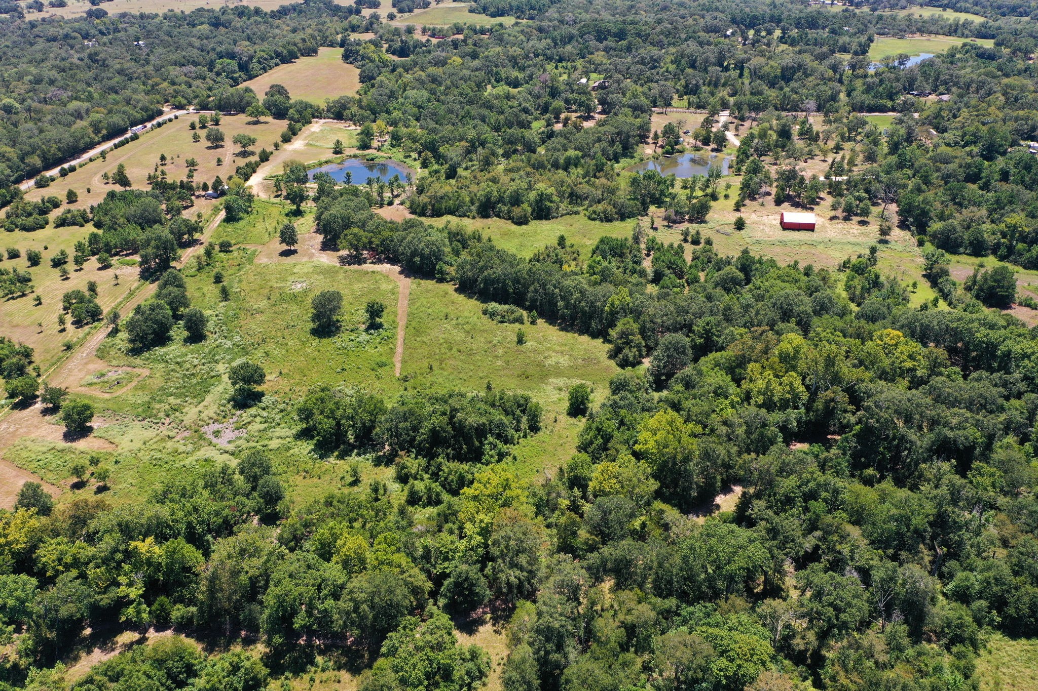 42219 Cedar Creek Road Property Photo 17
