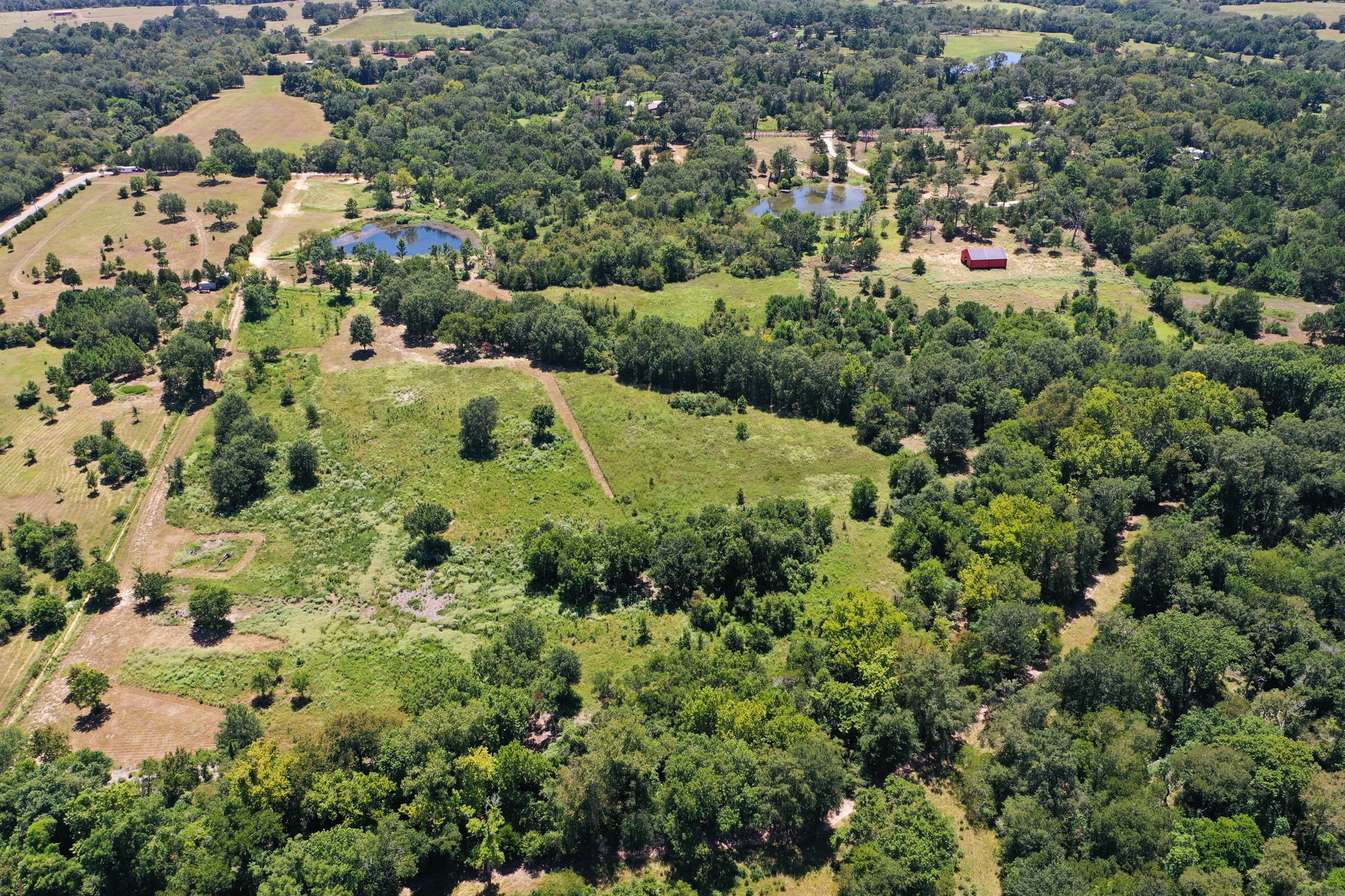 42219 Cedar Creek Road Property Photo 18