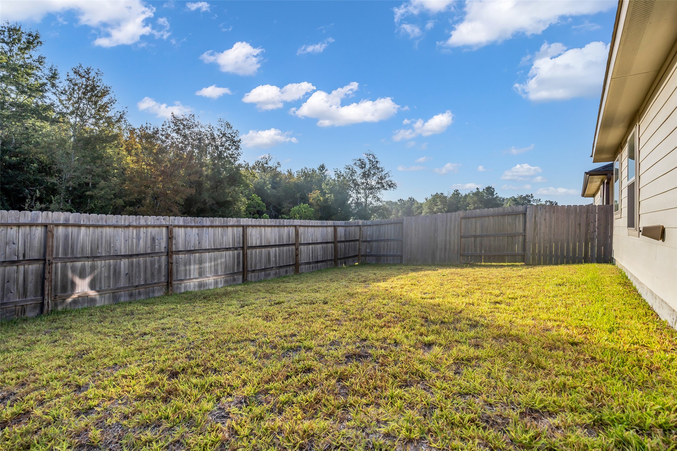 24039 Priano Forest Drive Property Photo 37