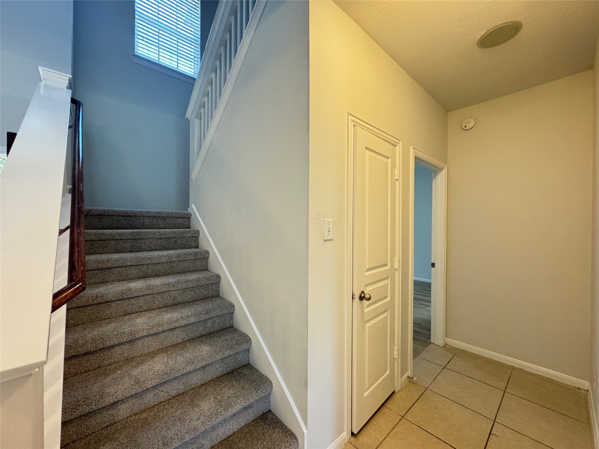 8107 Gran Villa Drive Property Photo 19