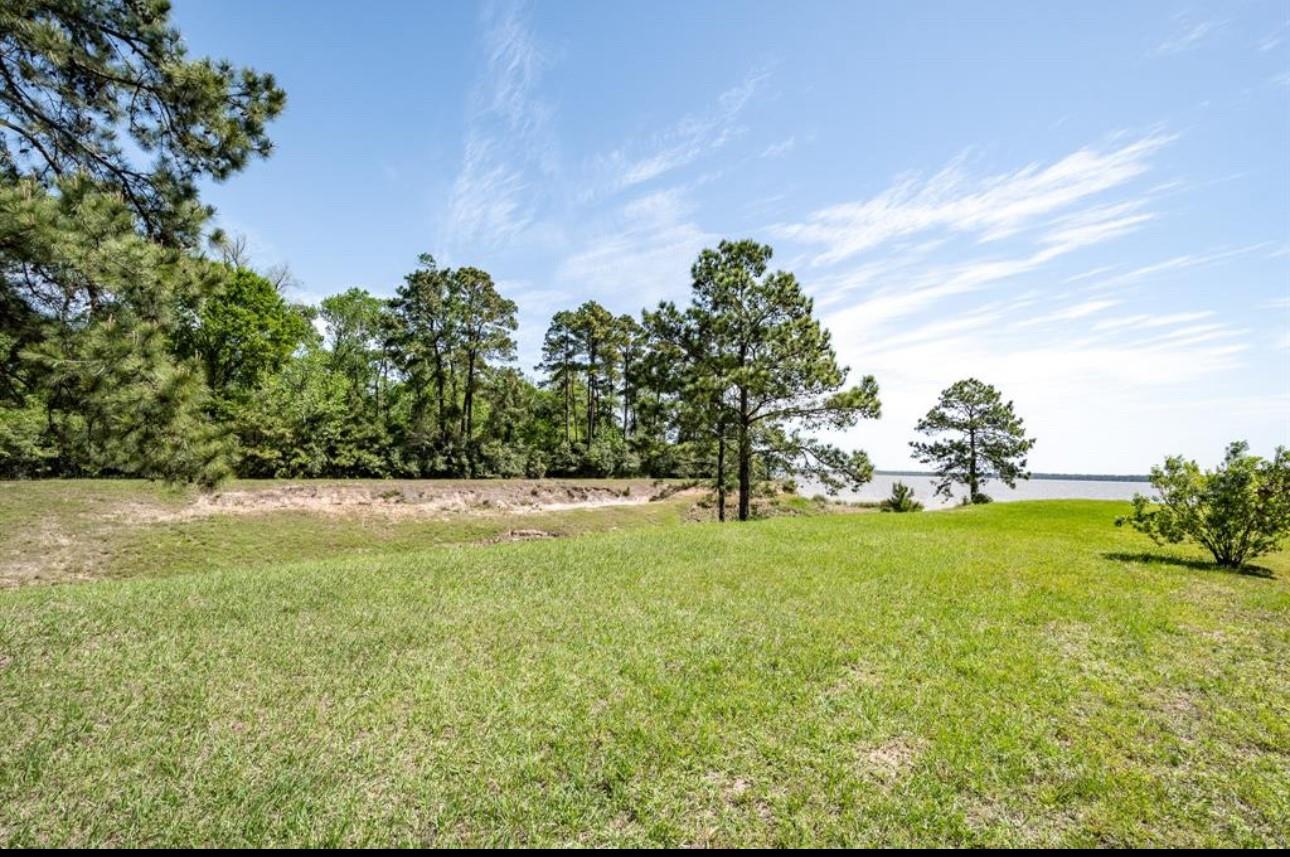 13235 Westmont Heights Lane, Houston Tx 77044 Property Photo 28