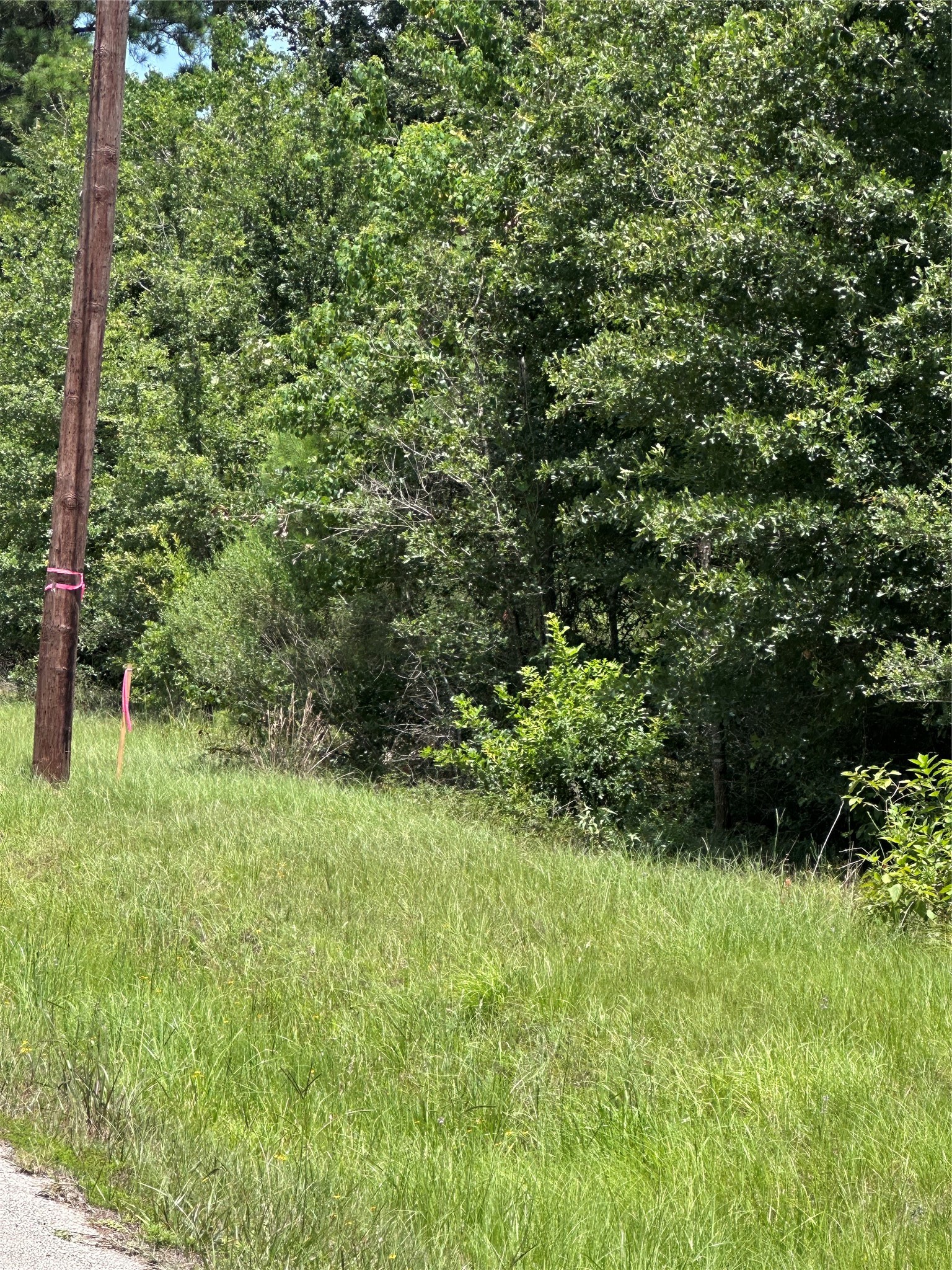 #5 Pozos Lane Property Photo 7