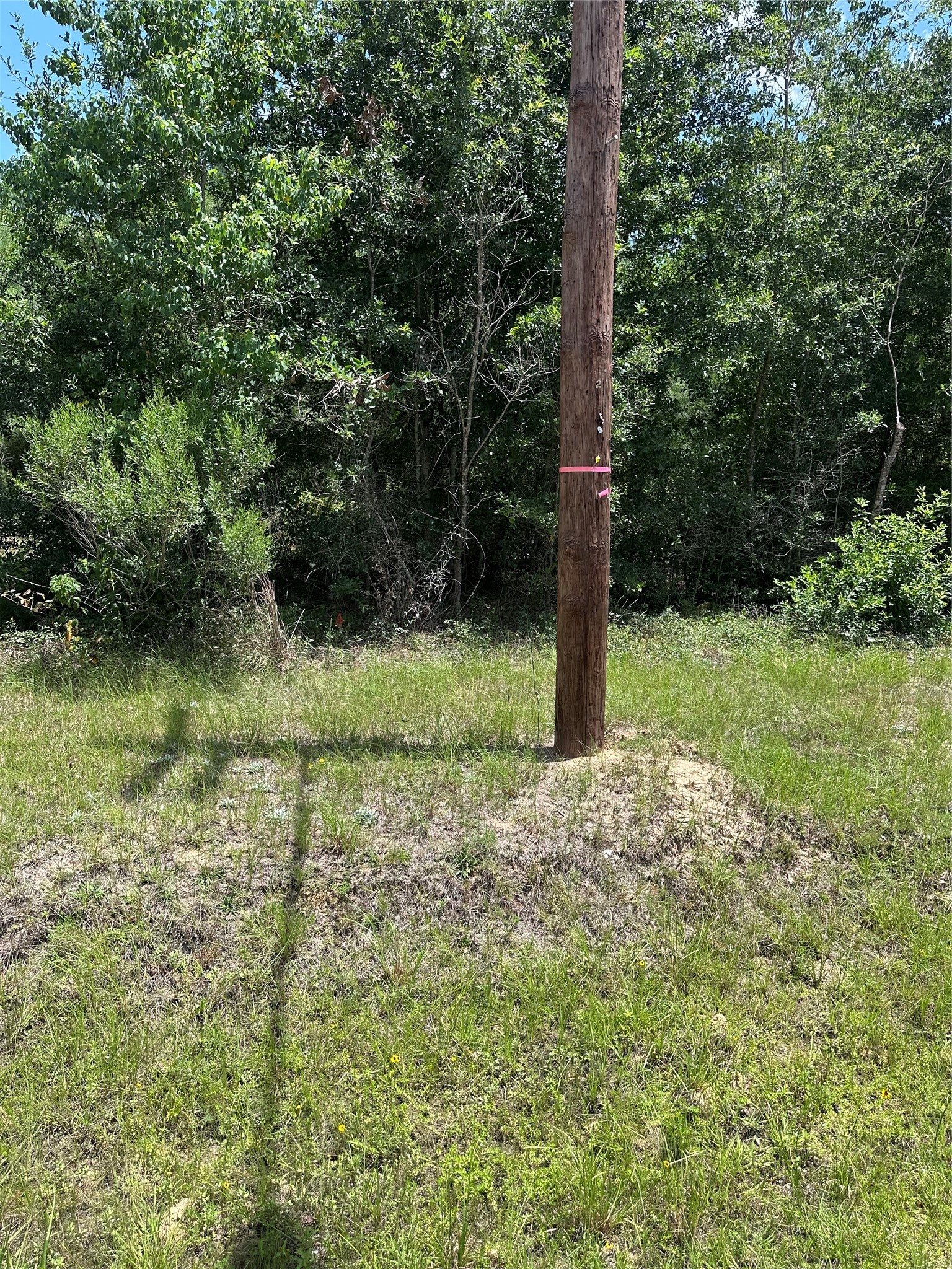 #5 Pozos Lane Property Photo 10