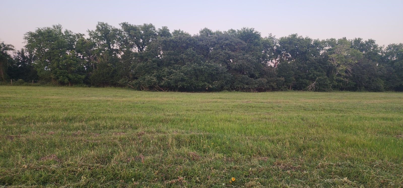 3690 W Fm 1093 Property Photo 5