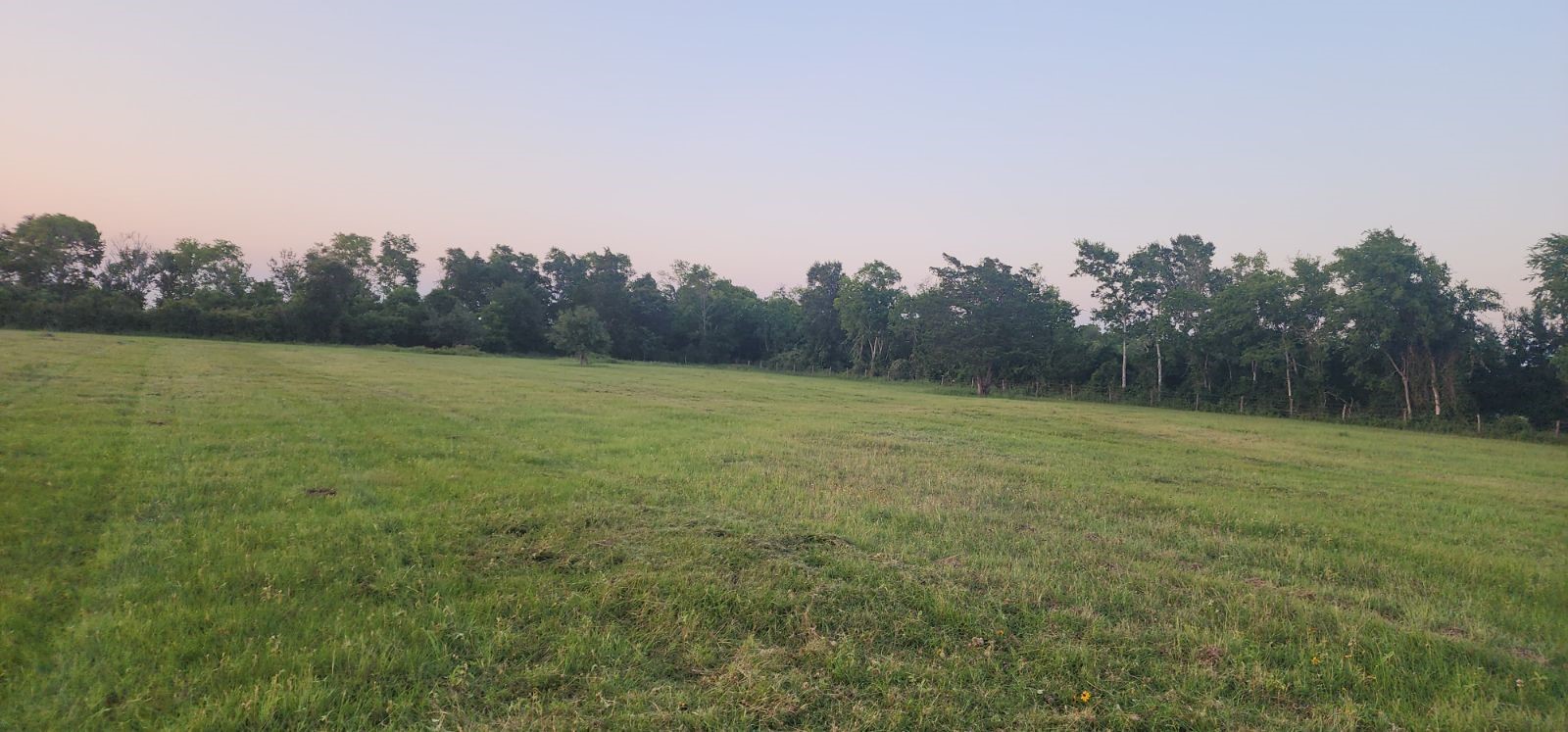 3690 W Fm 1093 Property Photo 6