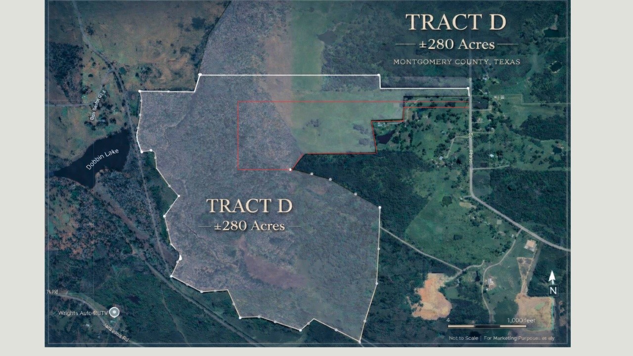 280 Acres Spring Branch Road Property Photo