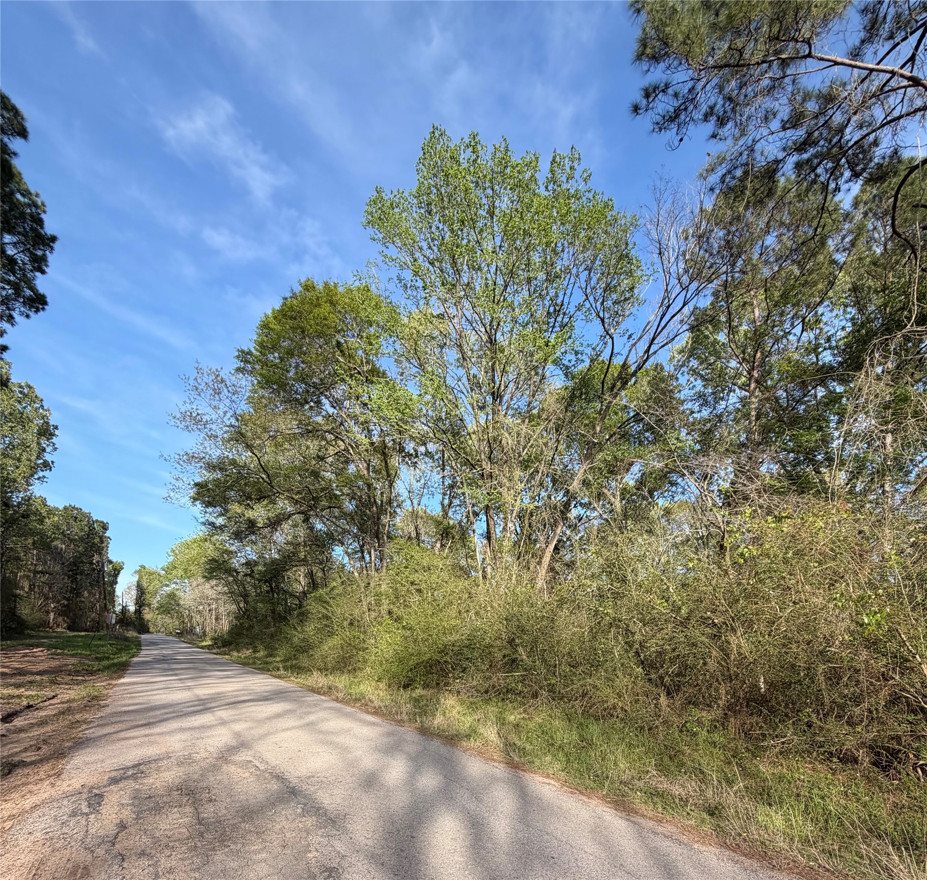 Tbd Jackson Road Property Photo 1