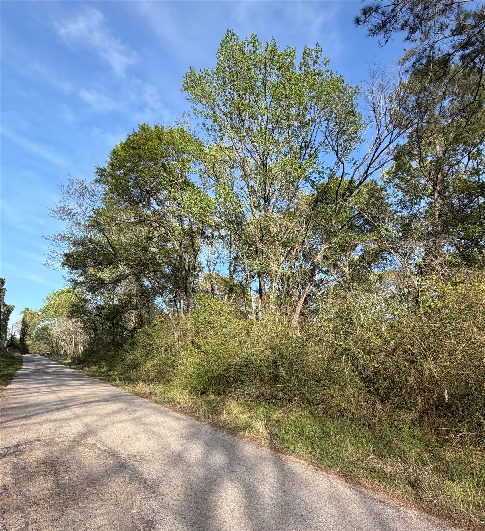 Tbd Jackson Road Property Photo 3