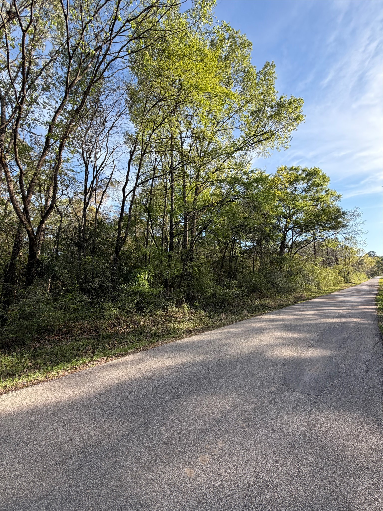Tbd Jackson Road Property Photo 5