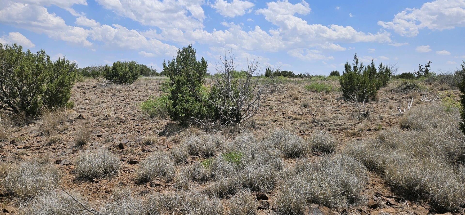 0 Dark Sky Ln Property Photo 2