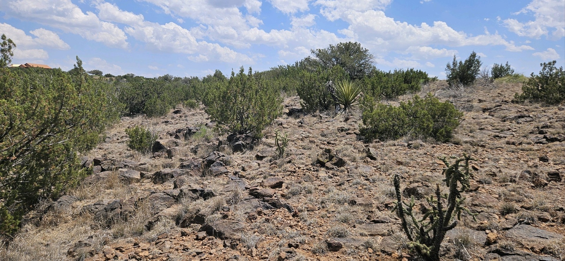 0 Dark Sky Ln Property Photo 6