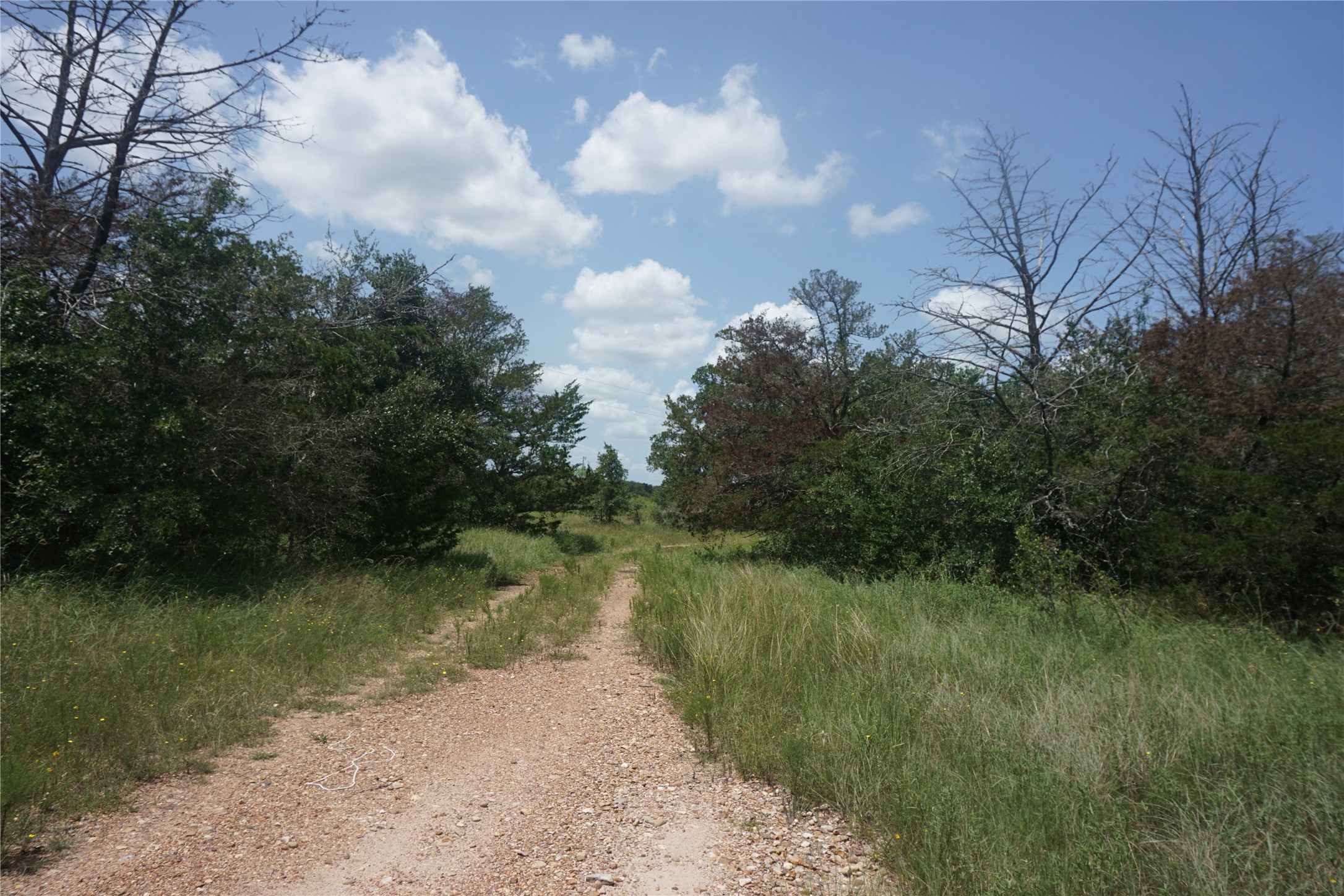 2200 Goehring Road Property Photo