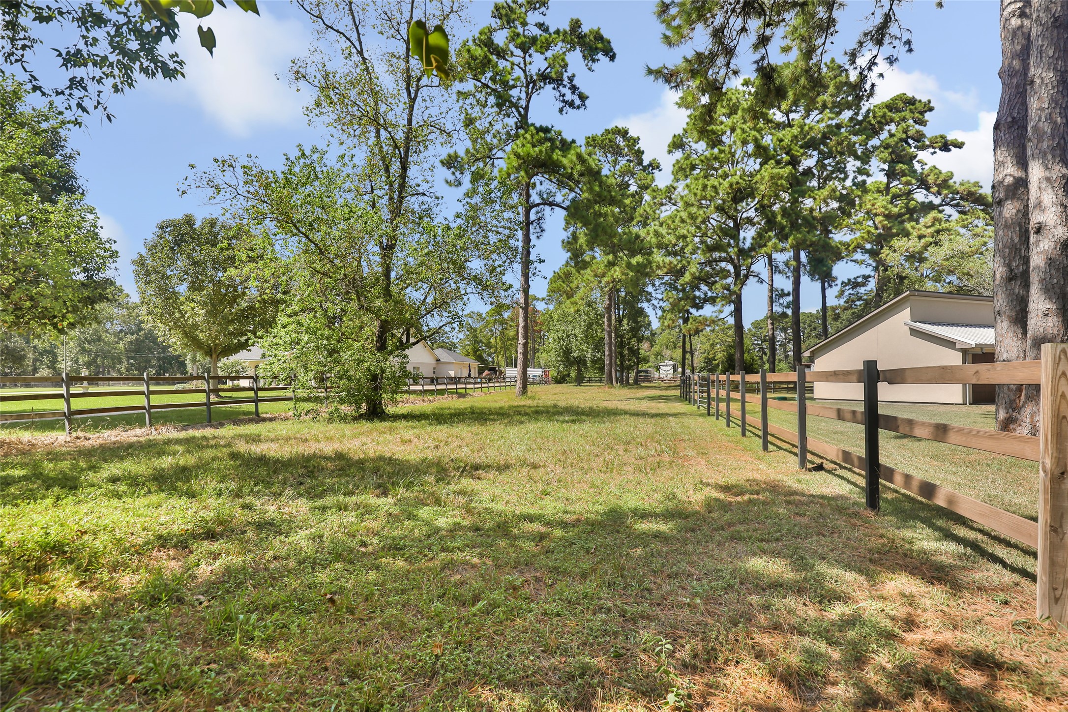 1300 Smith Road Property Photo 46