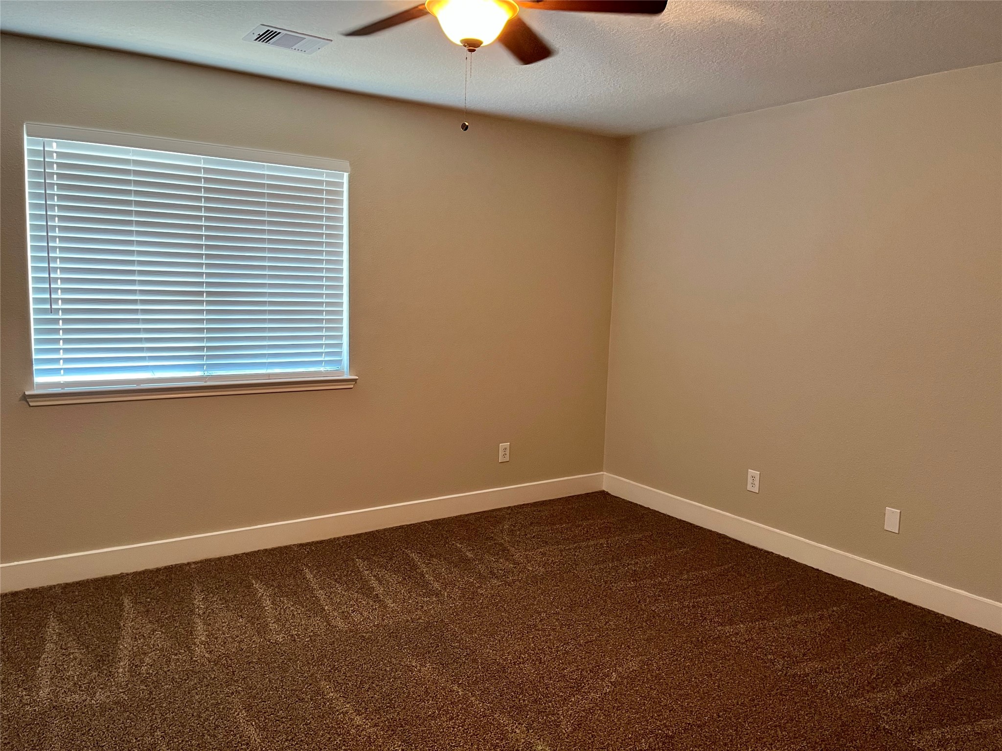 3951 Town Park Lane Property Photo 17