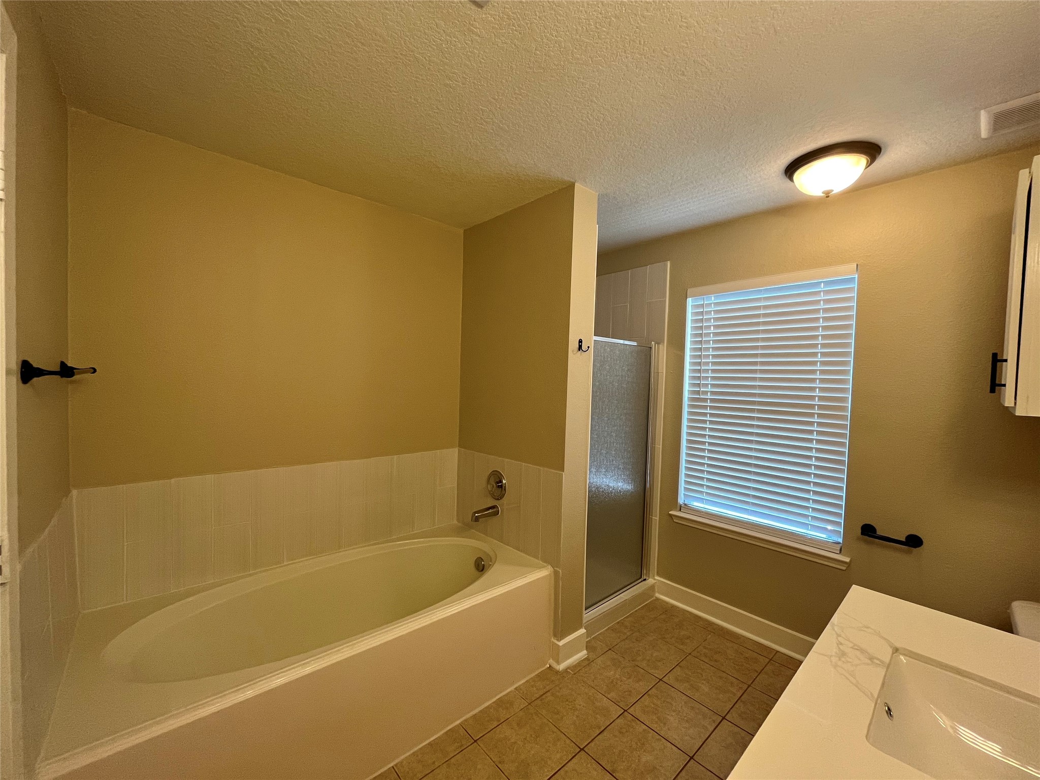 3951 Town Park Lane Property Photo 19