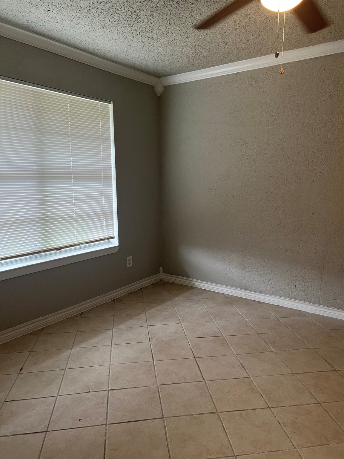 10902 Jutland Road Property Photo 5