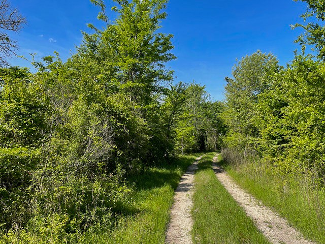 8763 Fm 356 Property Photo 1