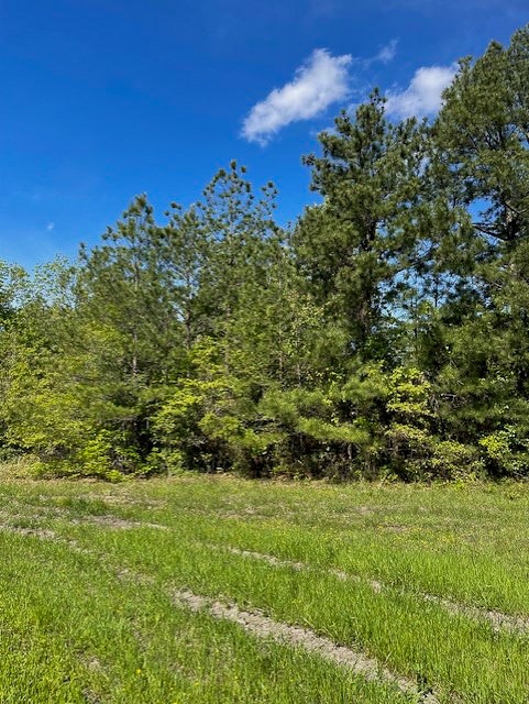 8763 Fm 356 Property Photo 3