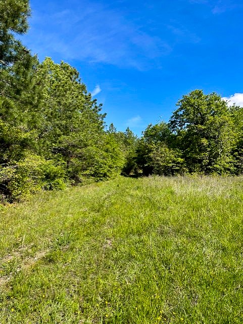 8763 Fm 356 Property Photo 4